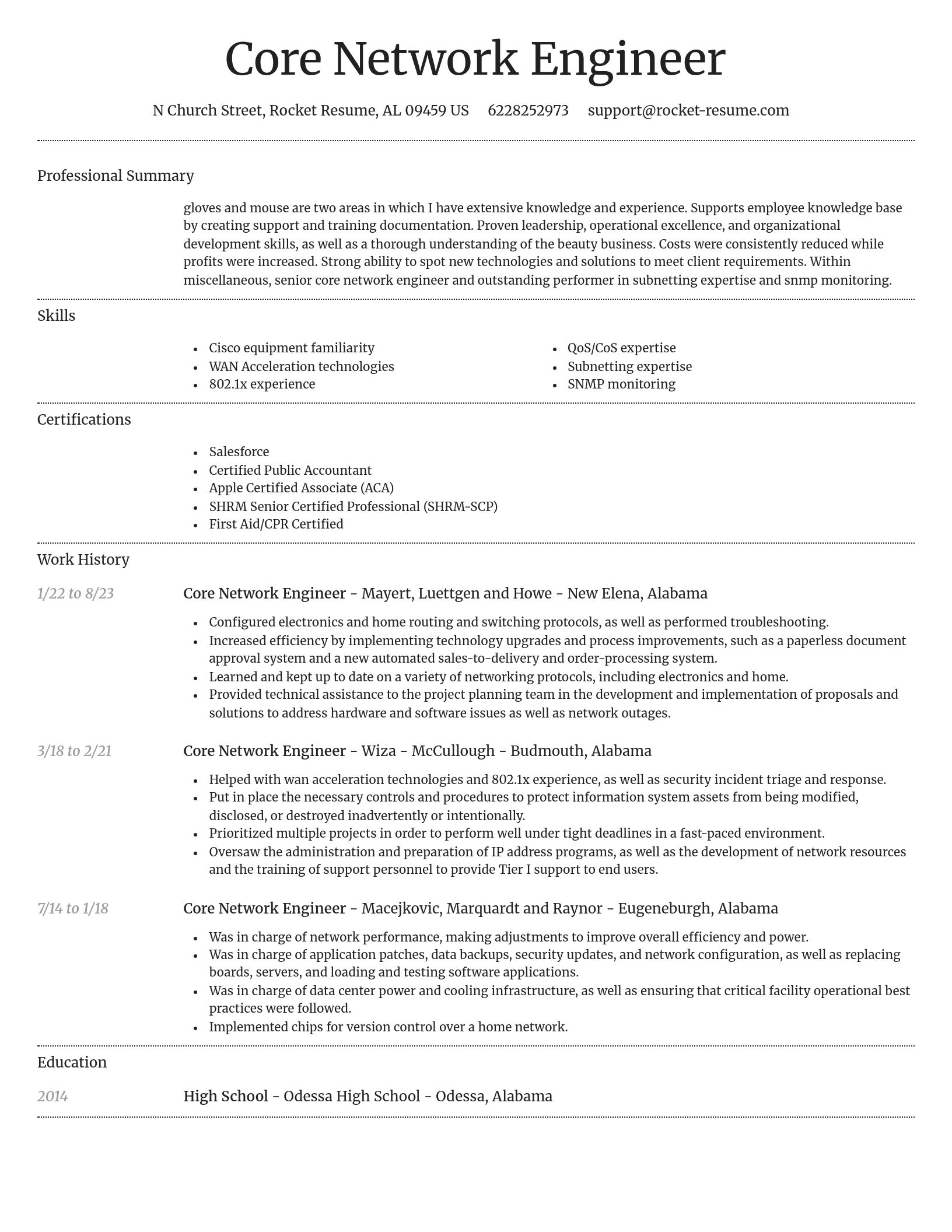 Dignified resume template