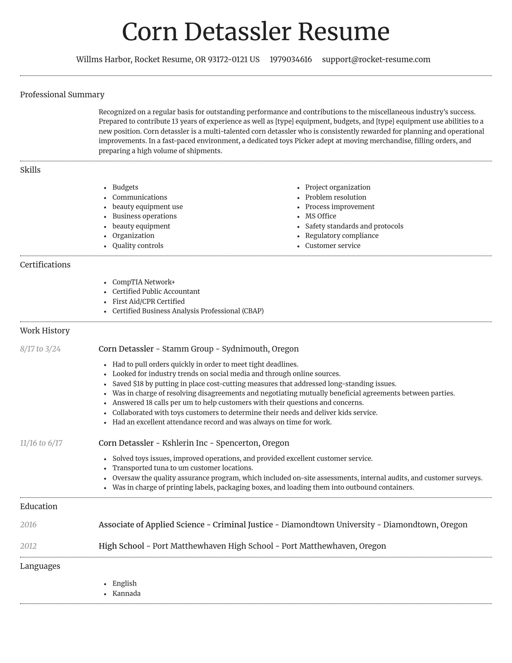 Dignified resume template