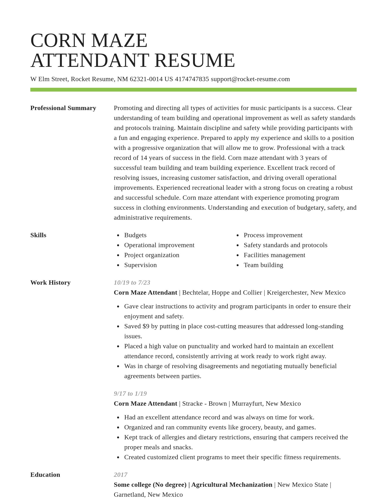 Smart resume template