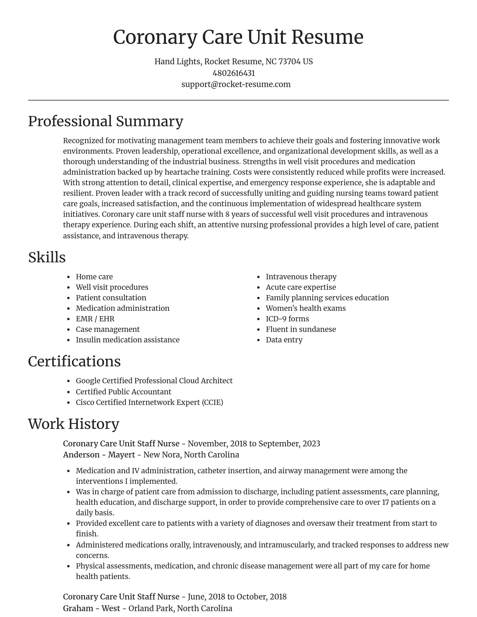Focal Point resume template