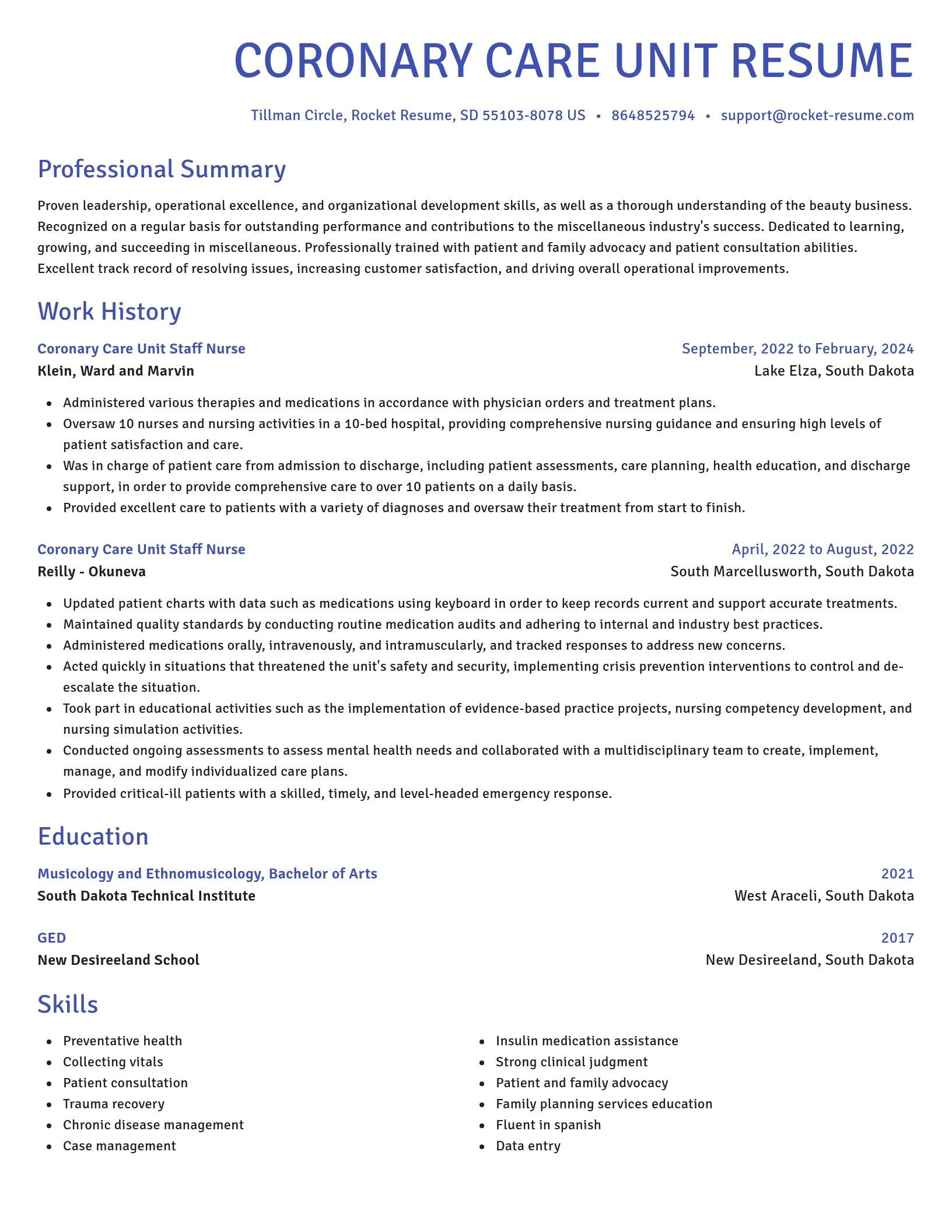 Novel resume template