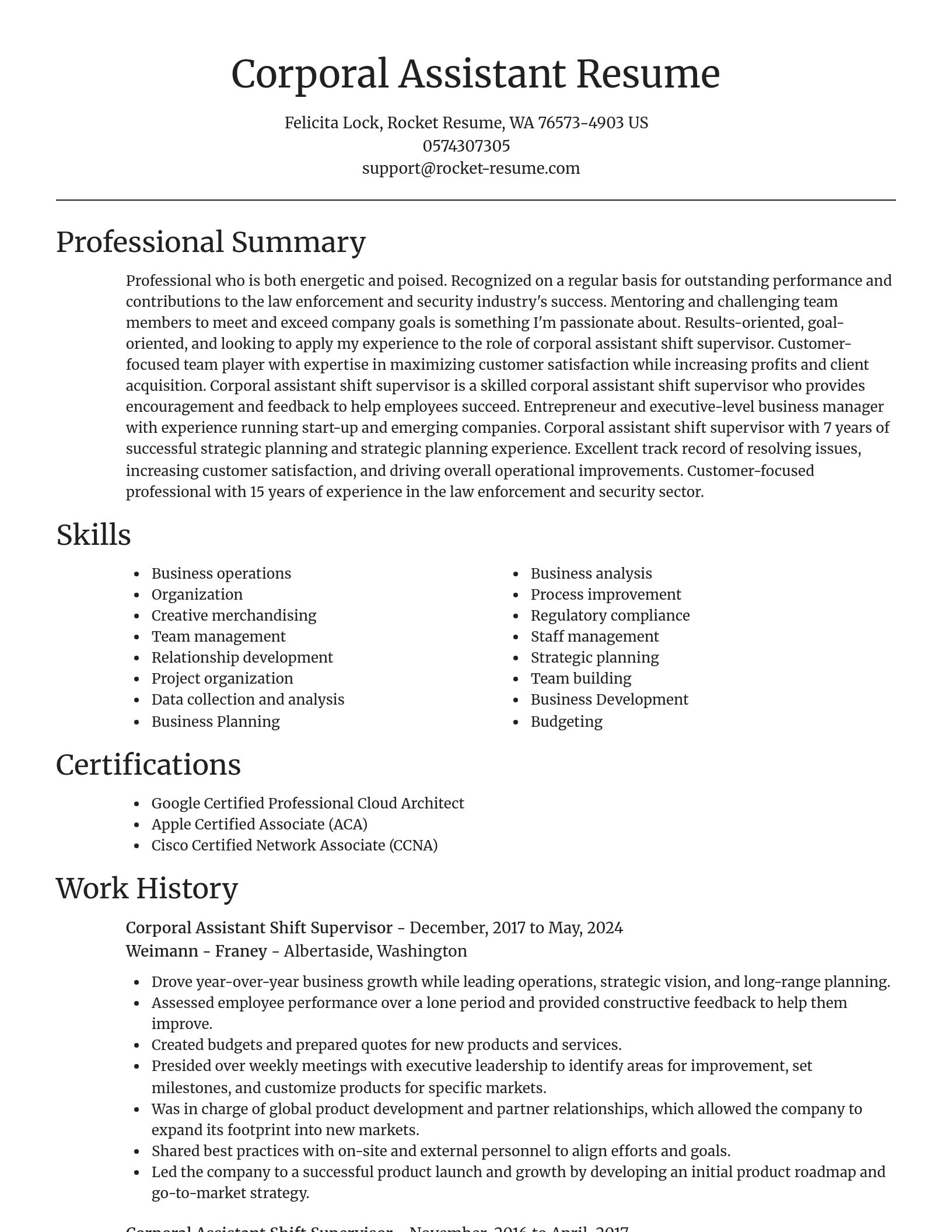 Focal Point resume template