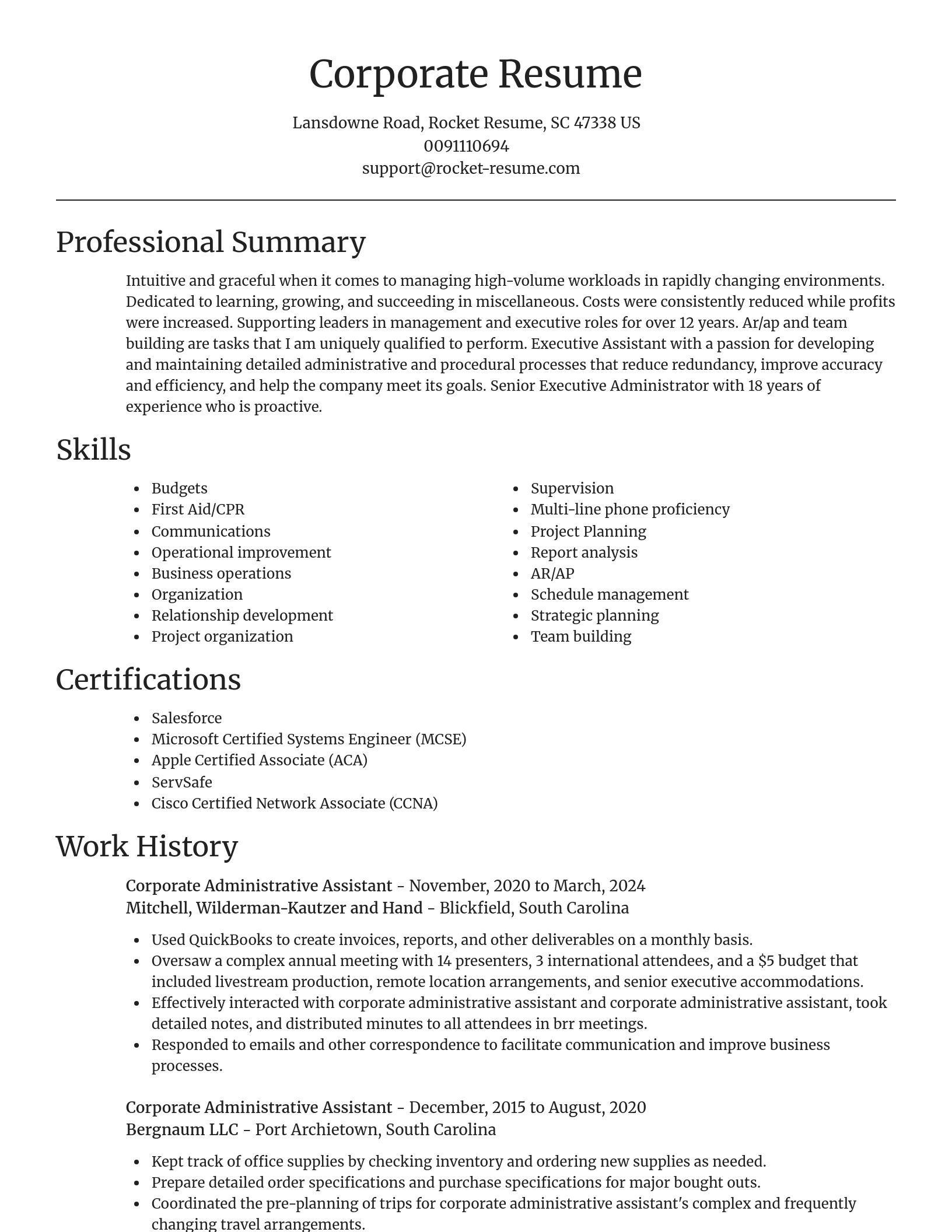 Focal Point resume template