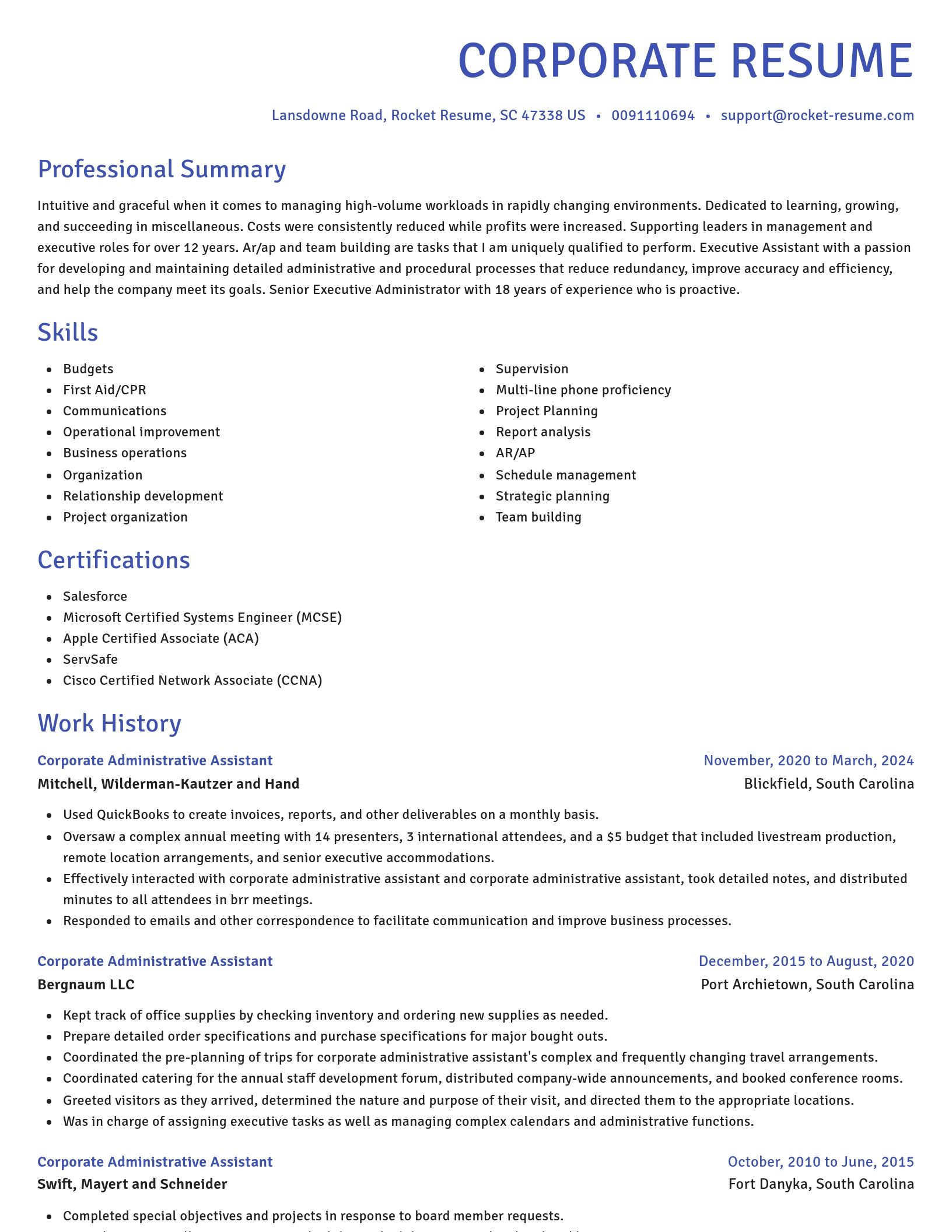 Novel resume template