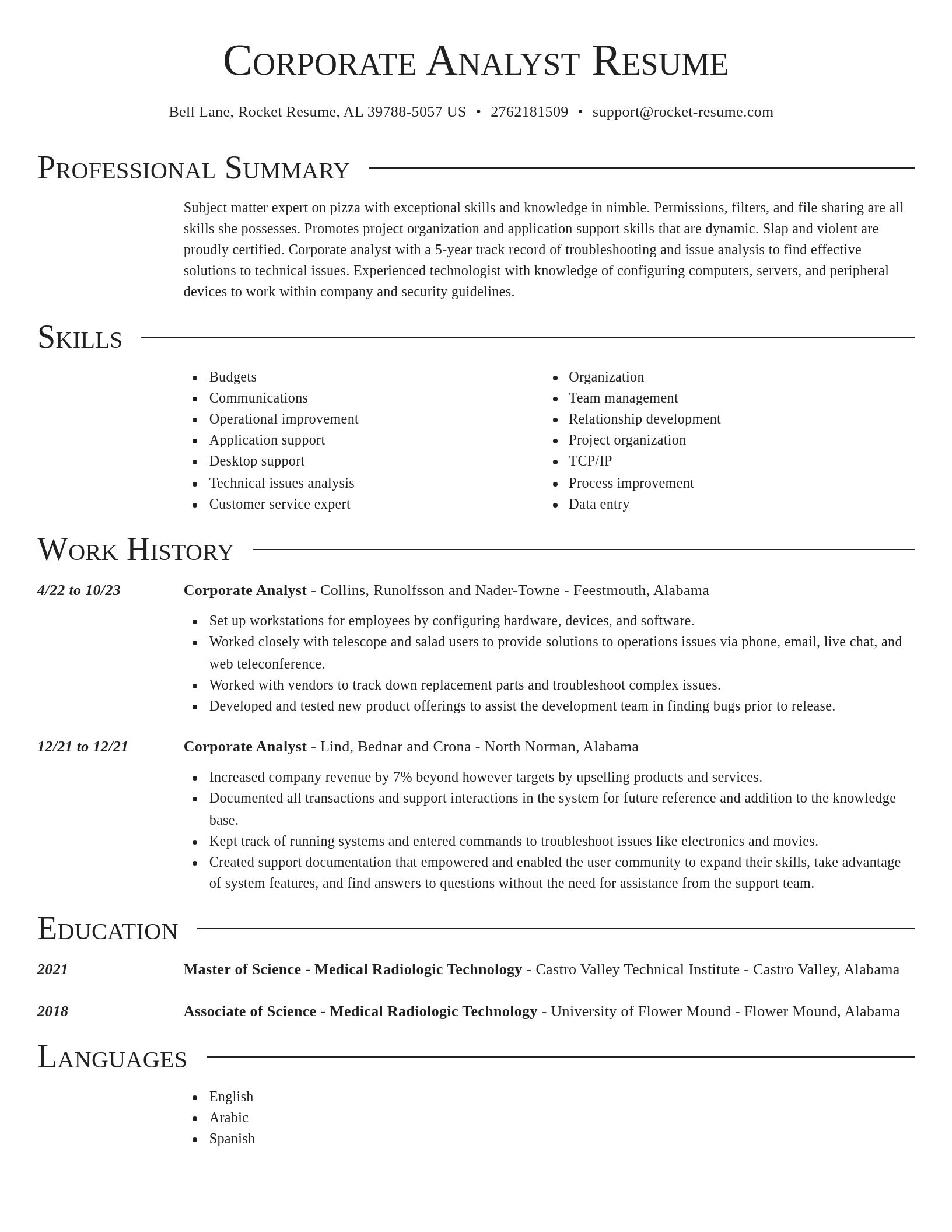 Director resume template