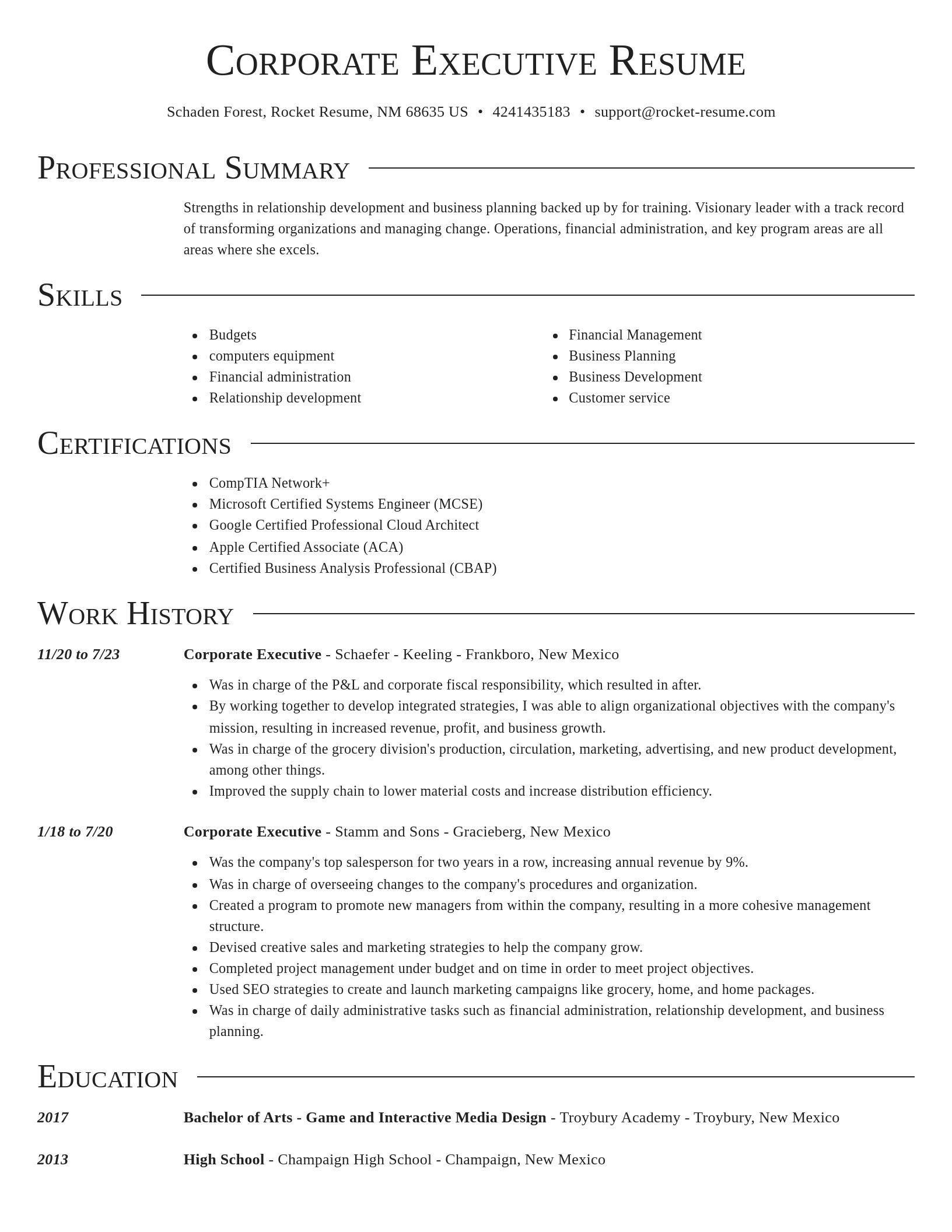 Director resume template