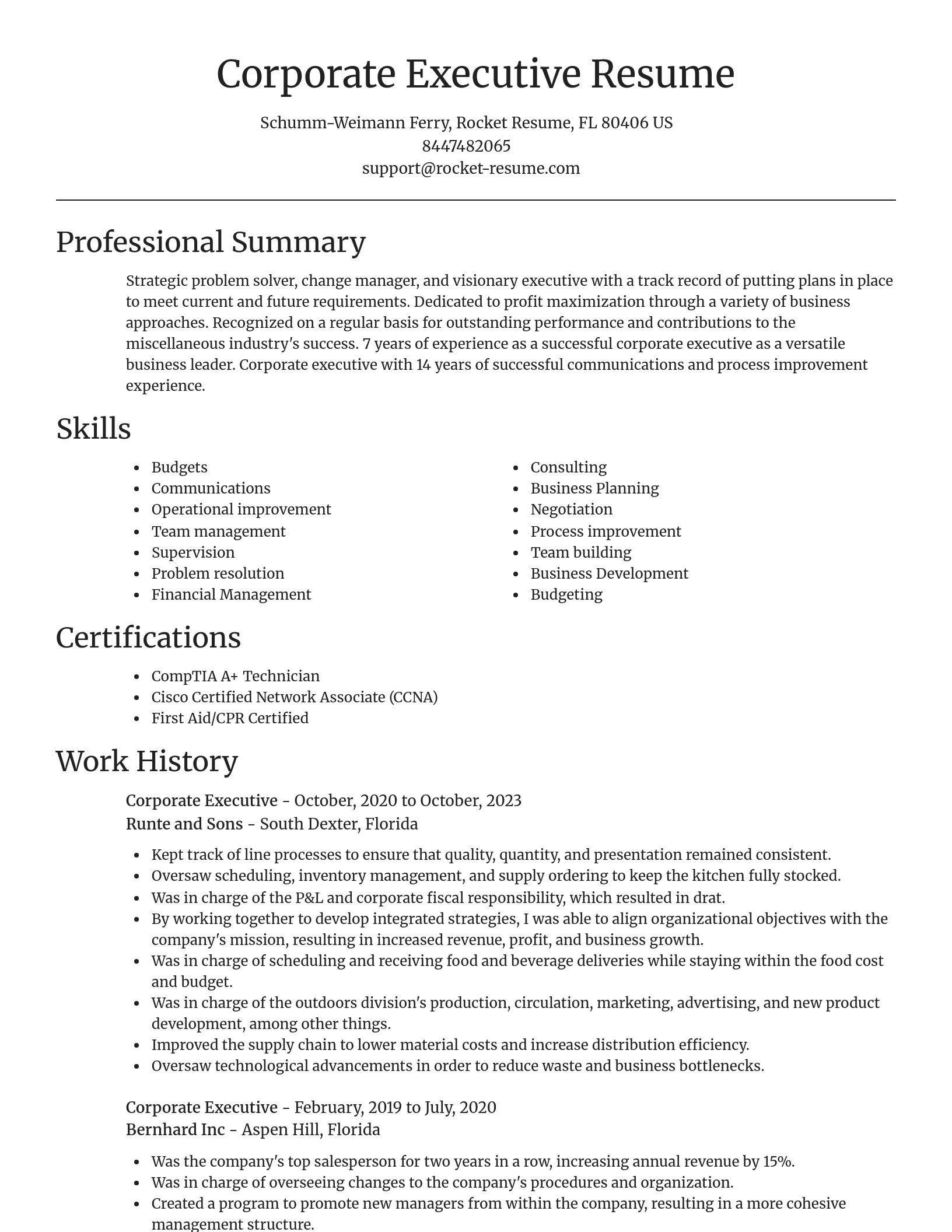 Focal Point resume template
