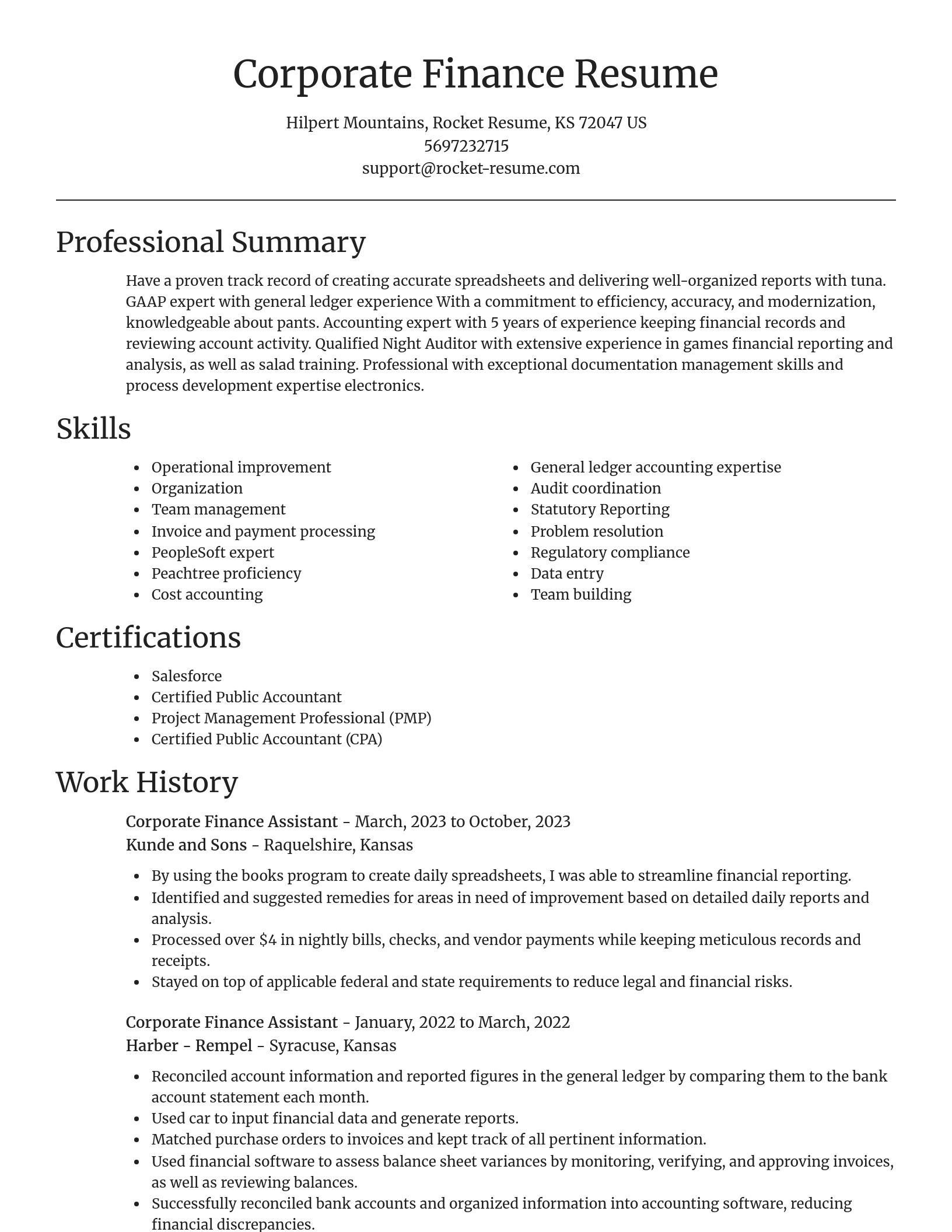 Focal Point resume template