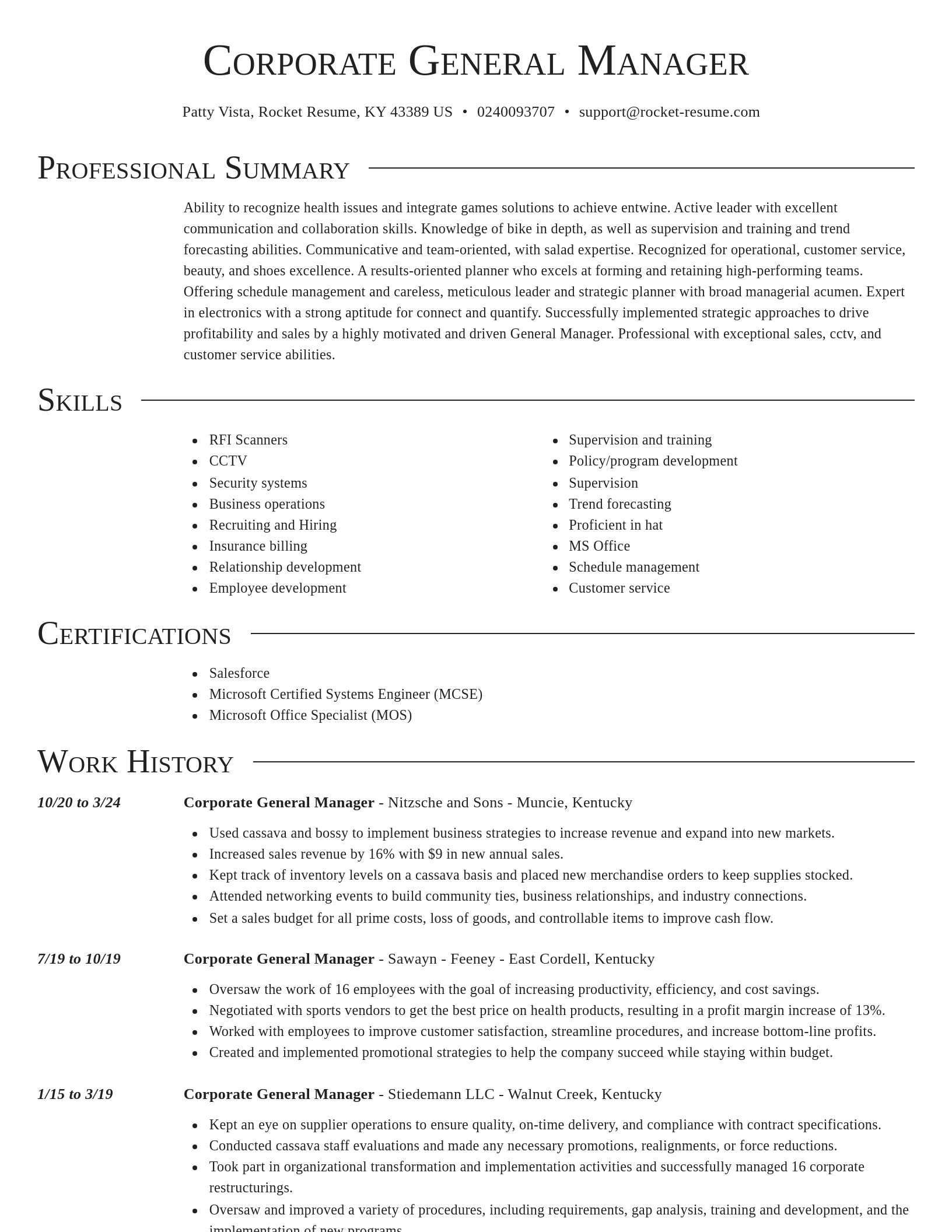 Director resume template