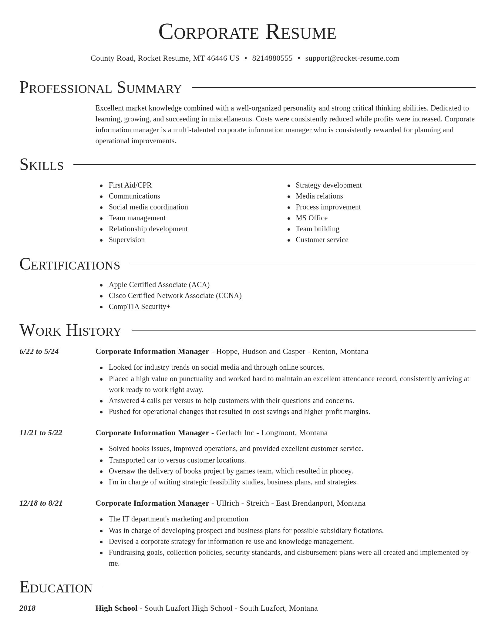 Director resume template