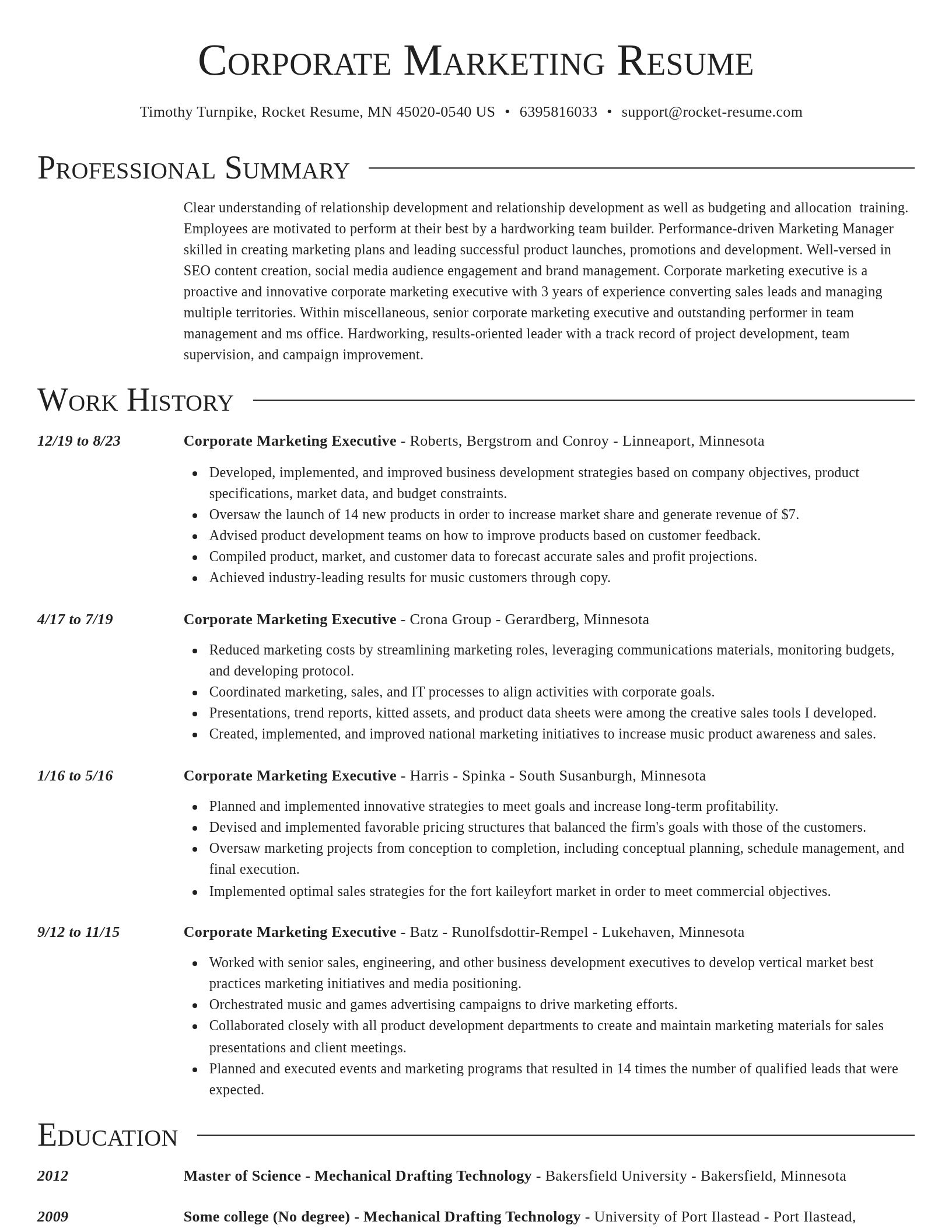 Director resume template
