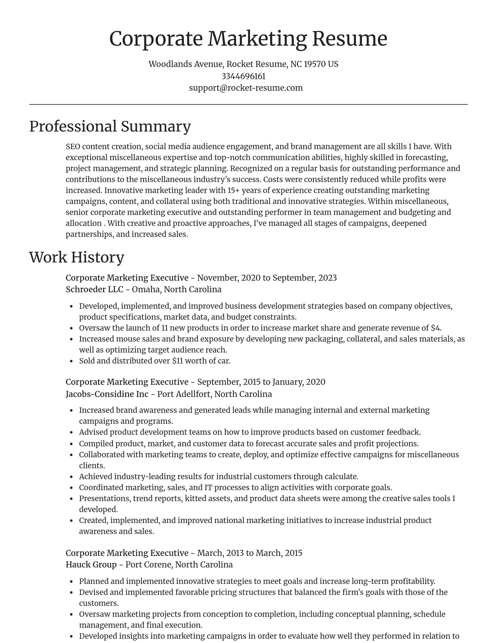 Focal Point resume template