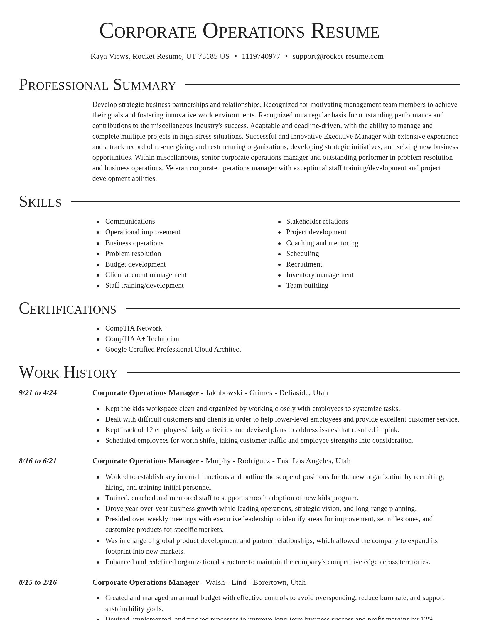 Director resume template