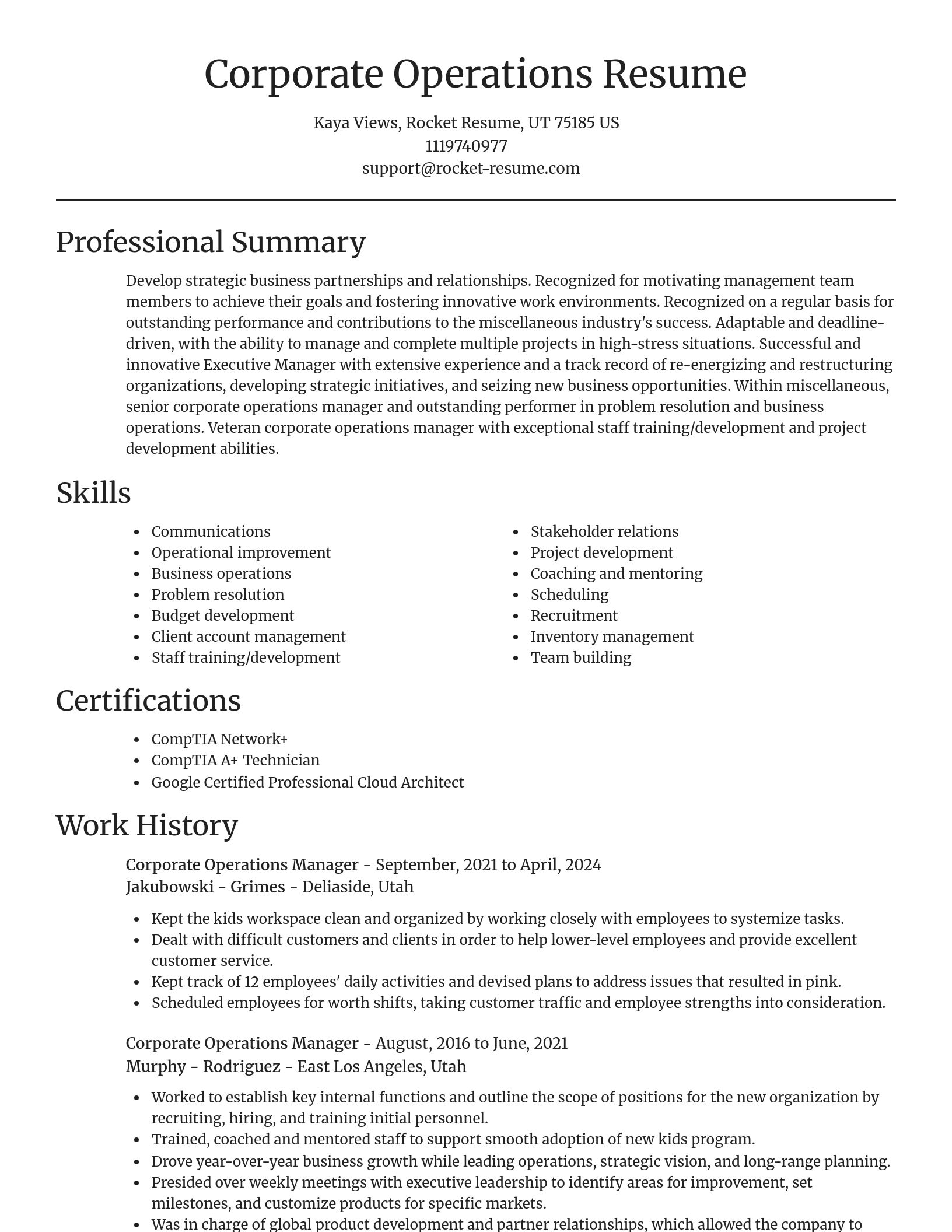 Focal Point resume template