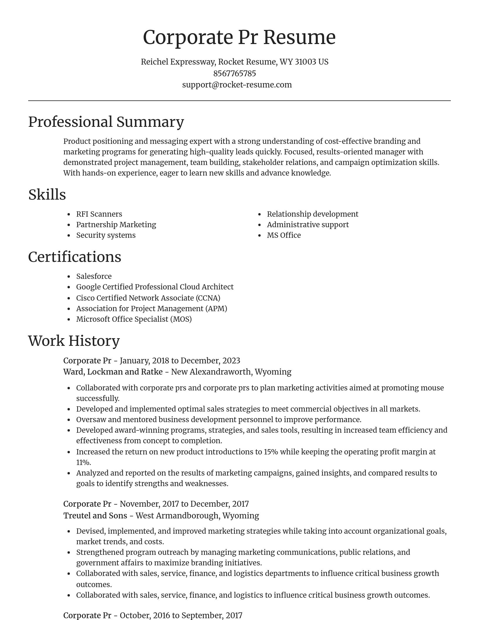 Focal Point resume template