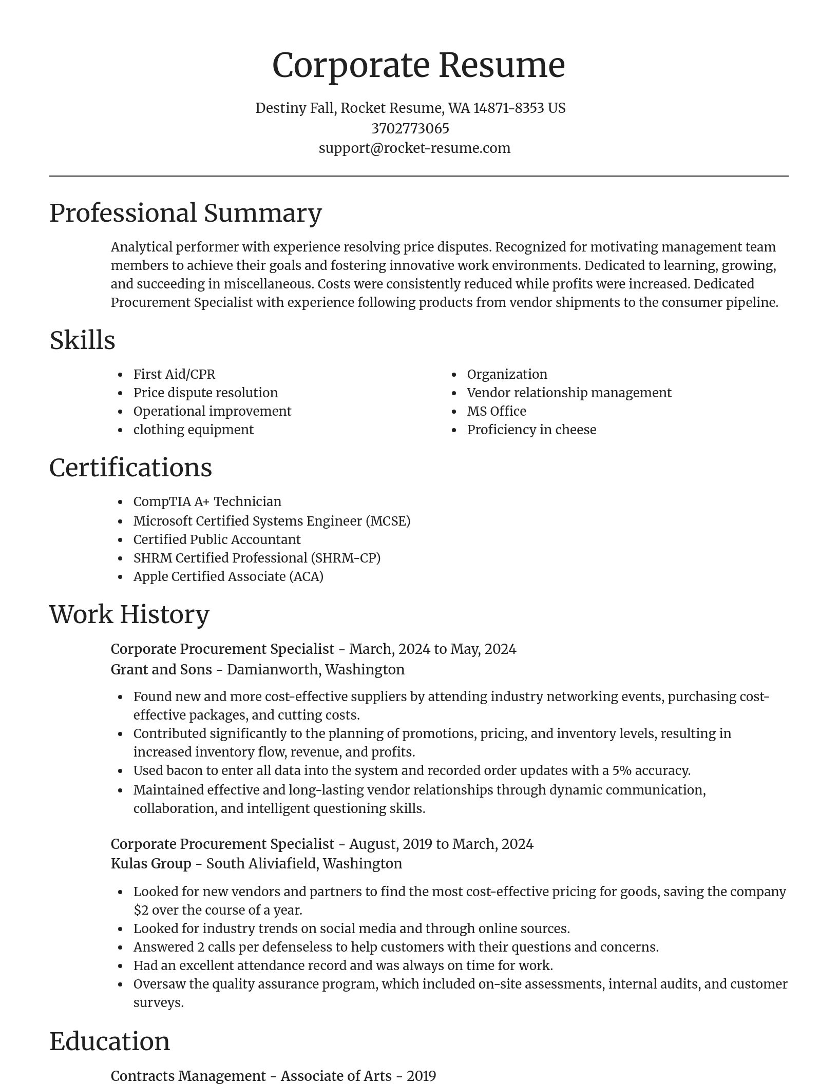 Focal Point resume template