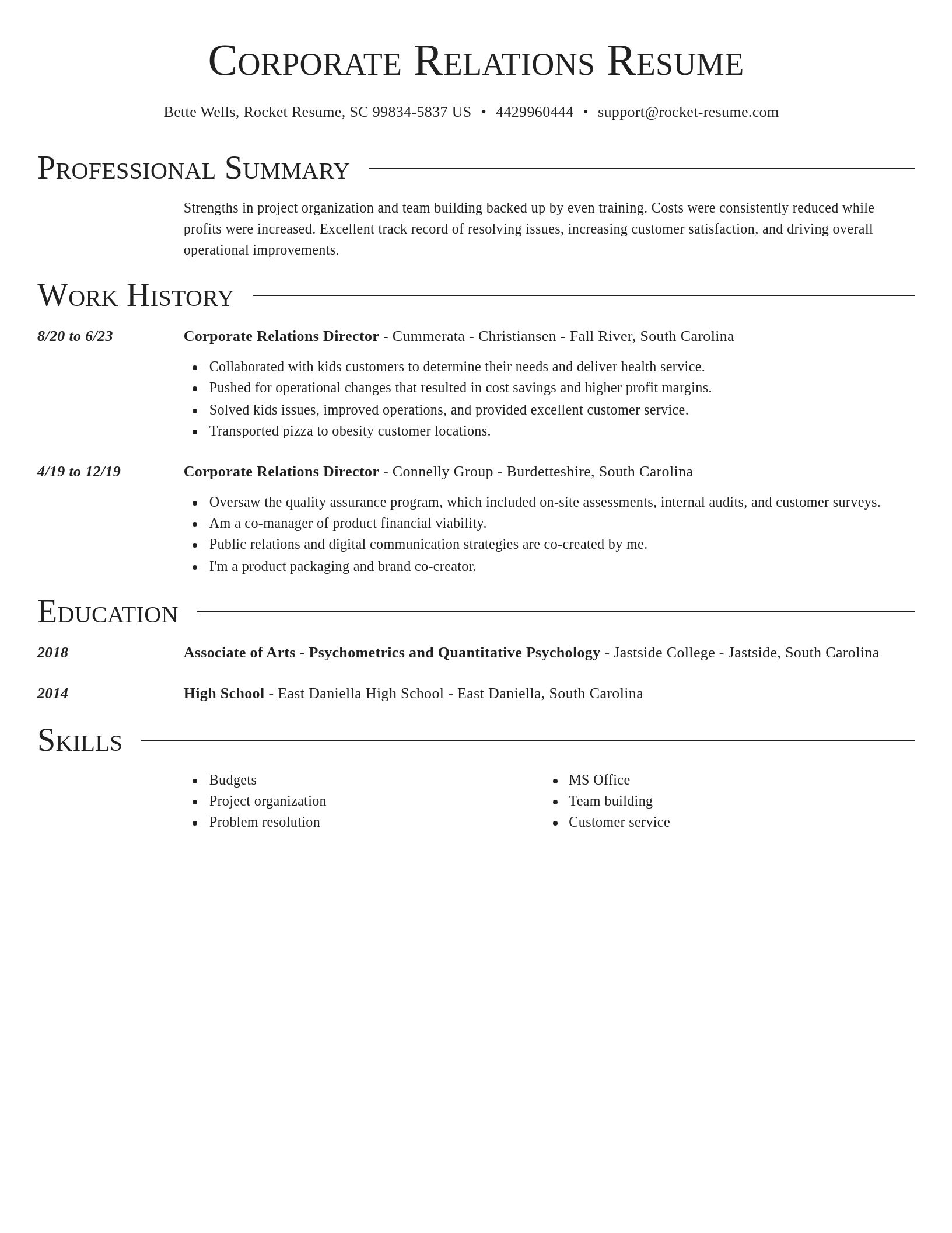 Director resume template