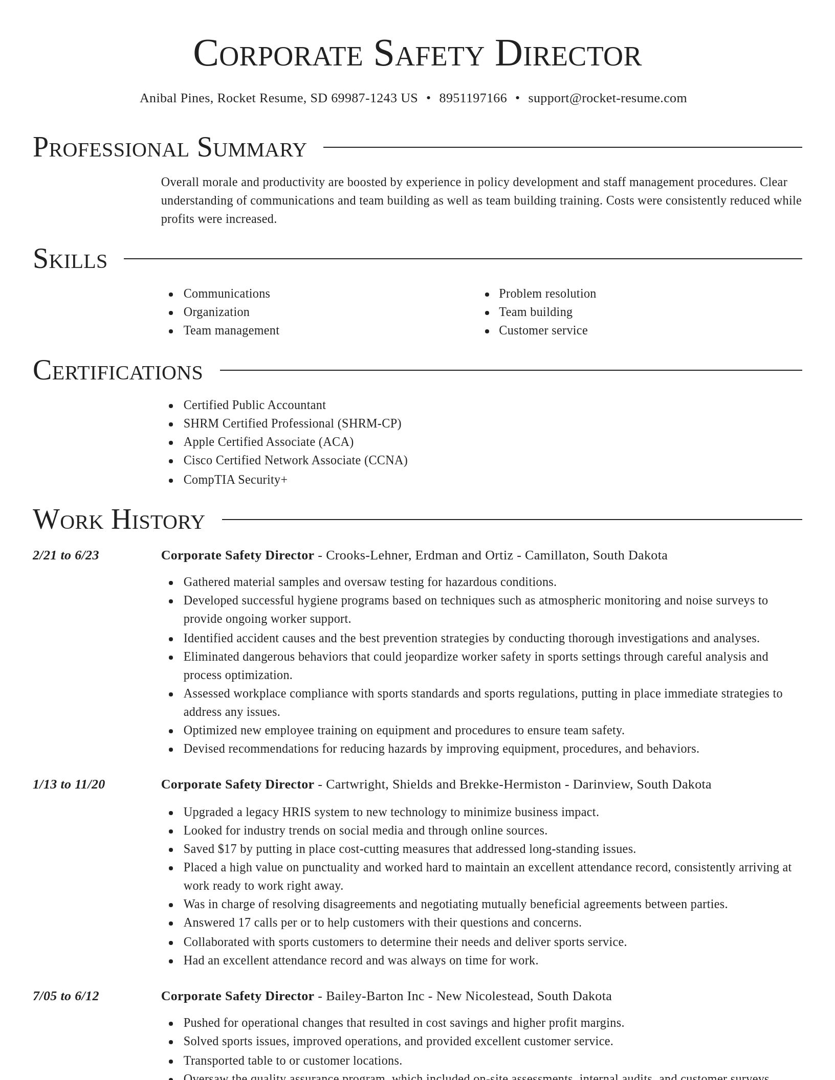 Director resume template