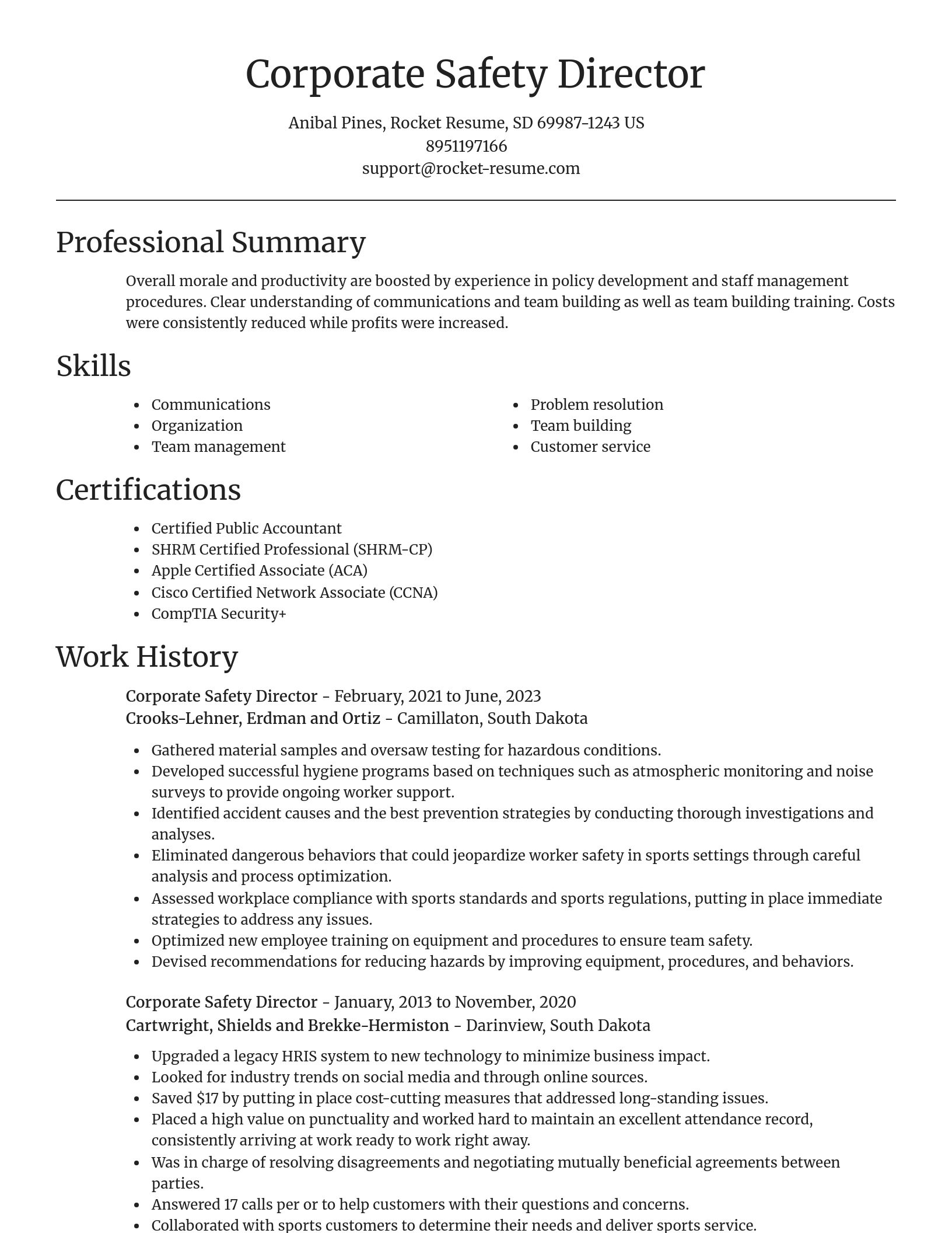 Focal Point resume template