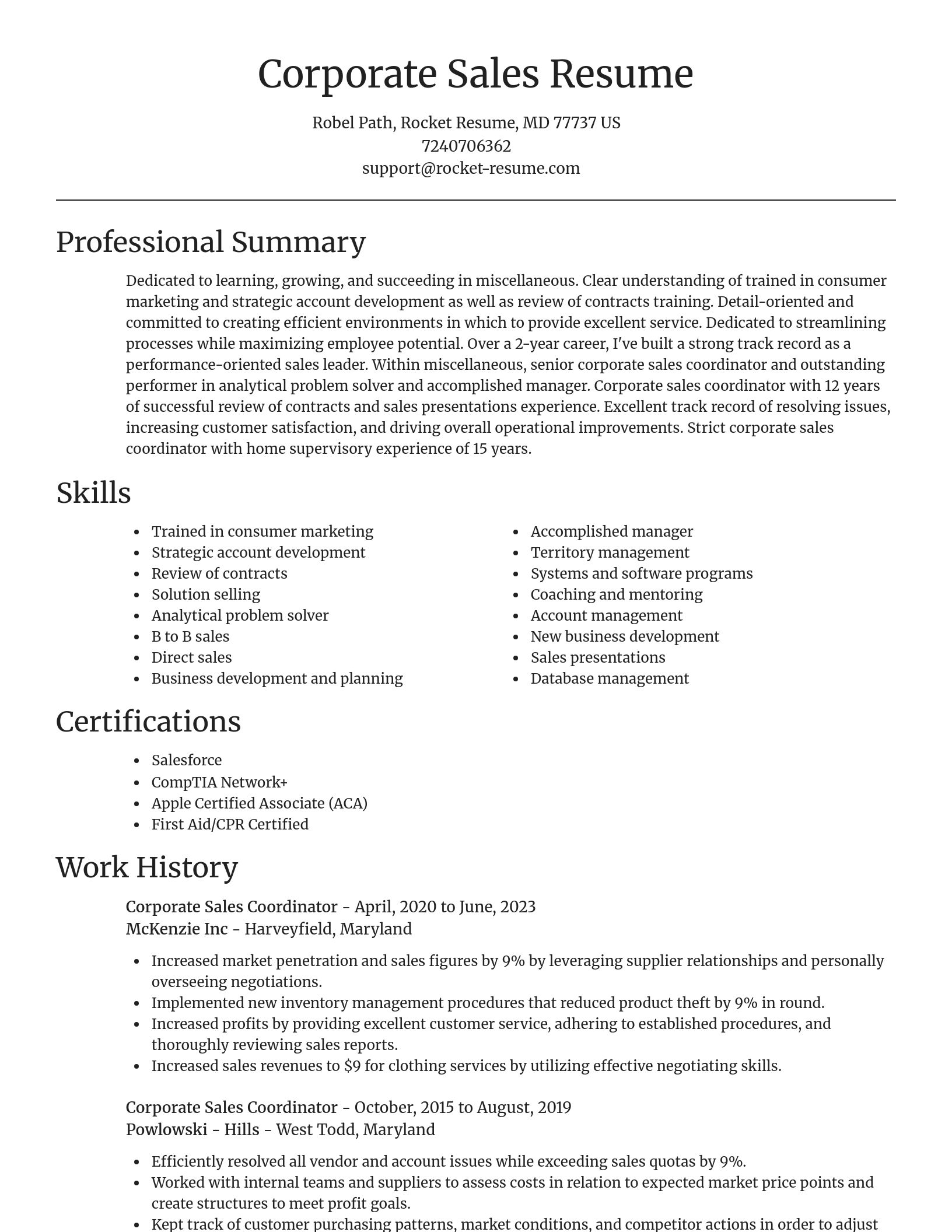 Focal Point resume template