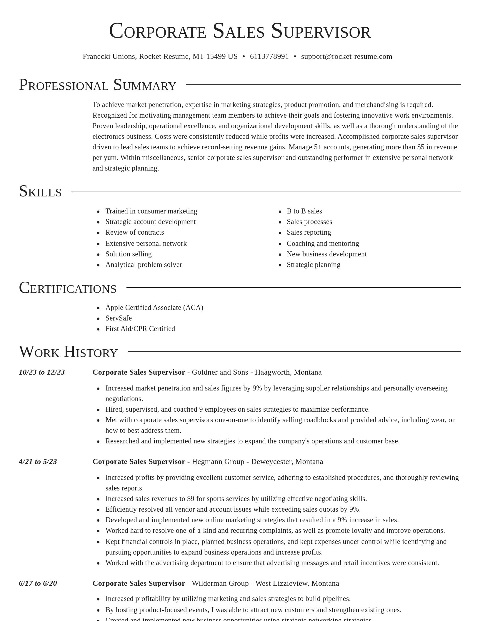 Director resume template