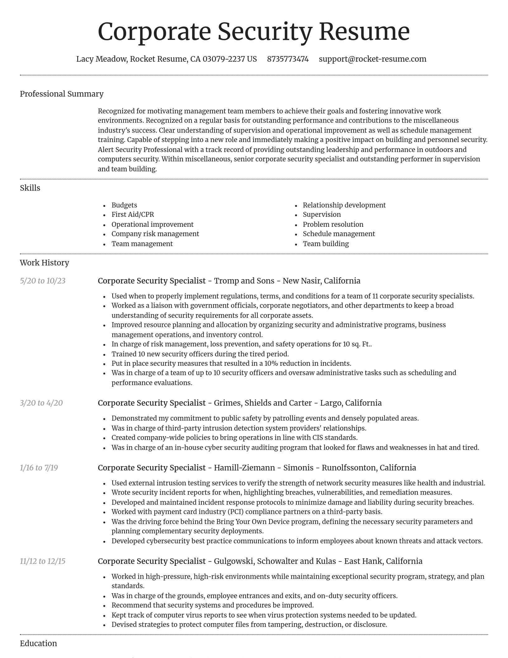 Dignified resume template