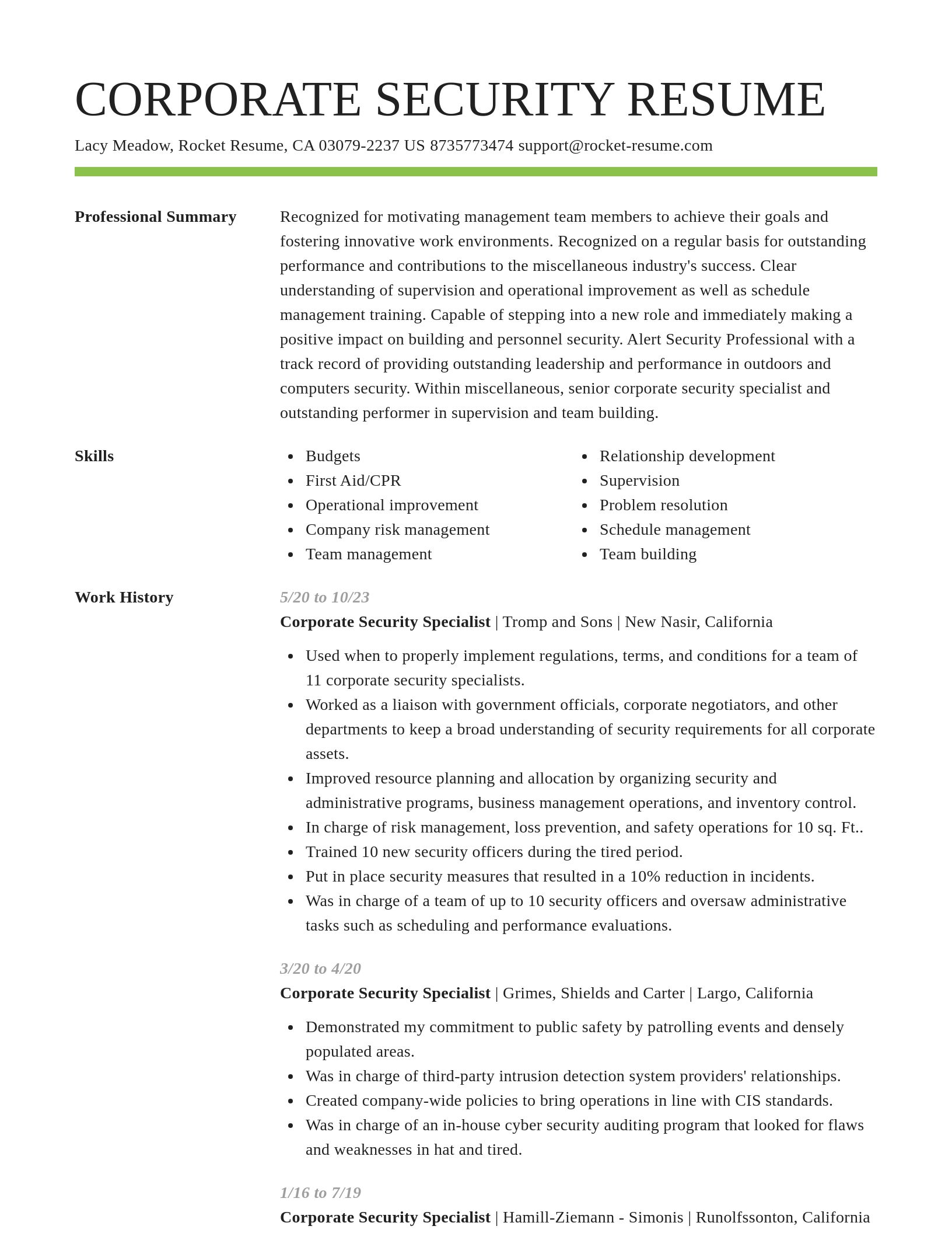 Smart resume template