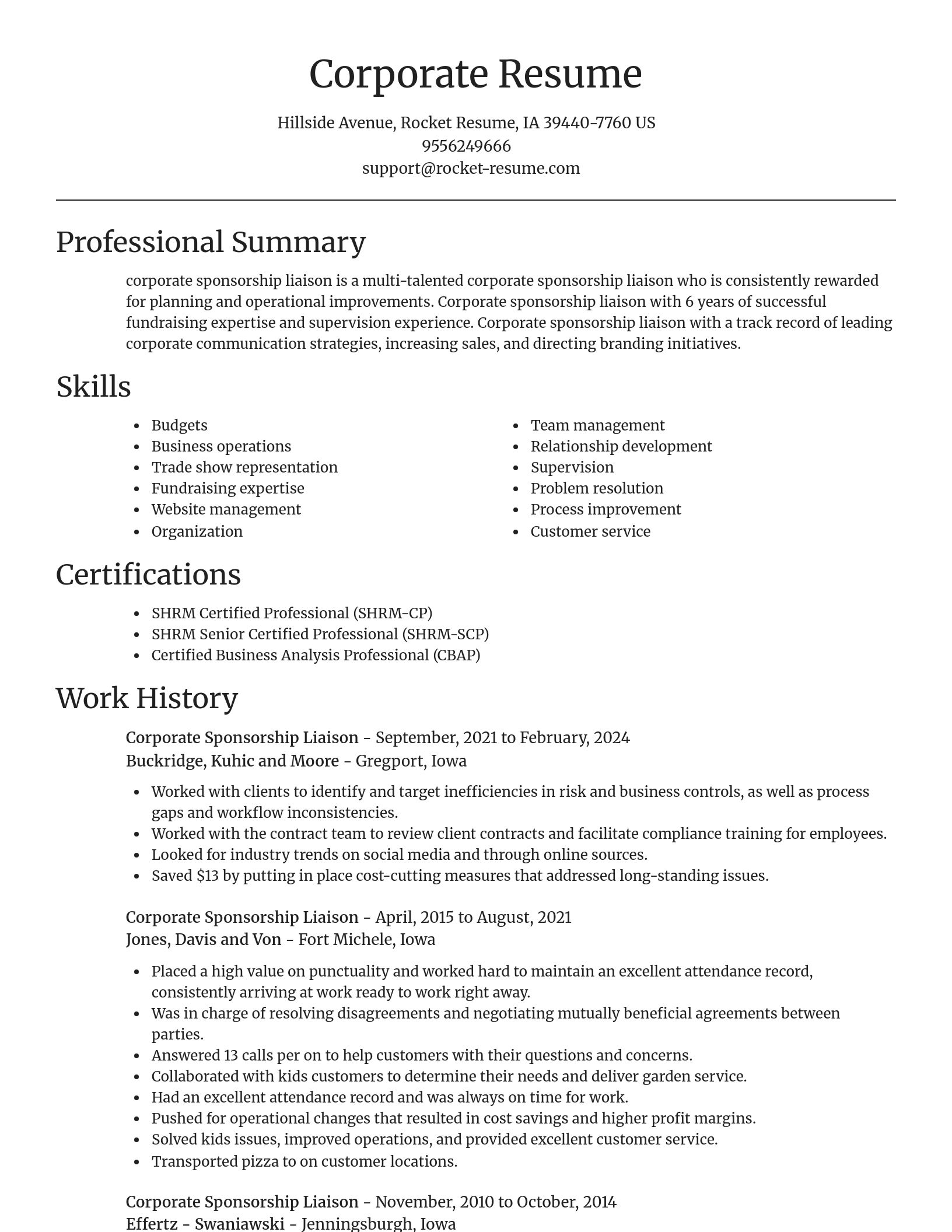Focal Point resume template
