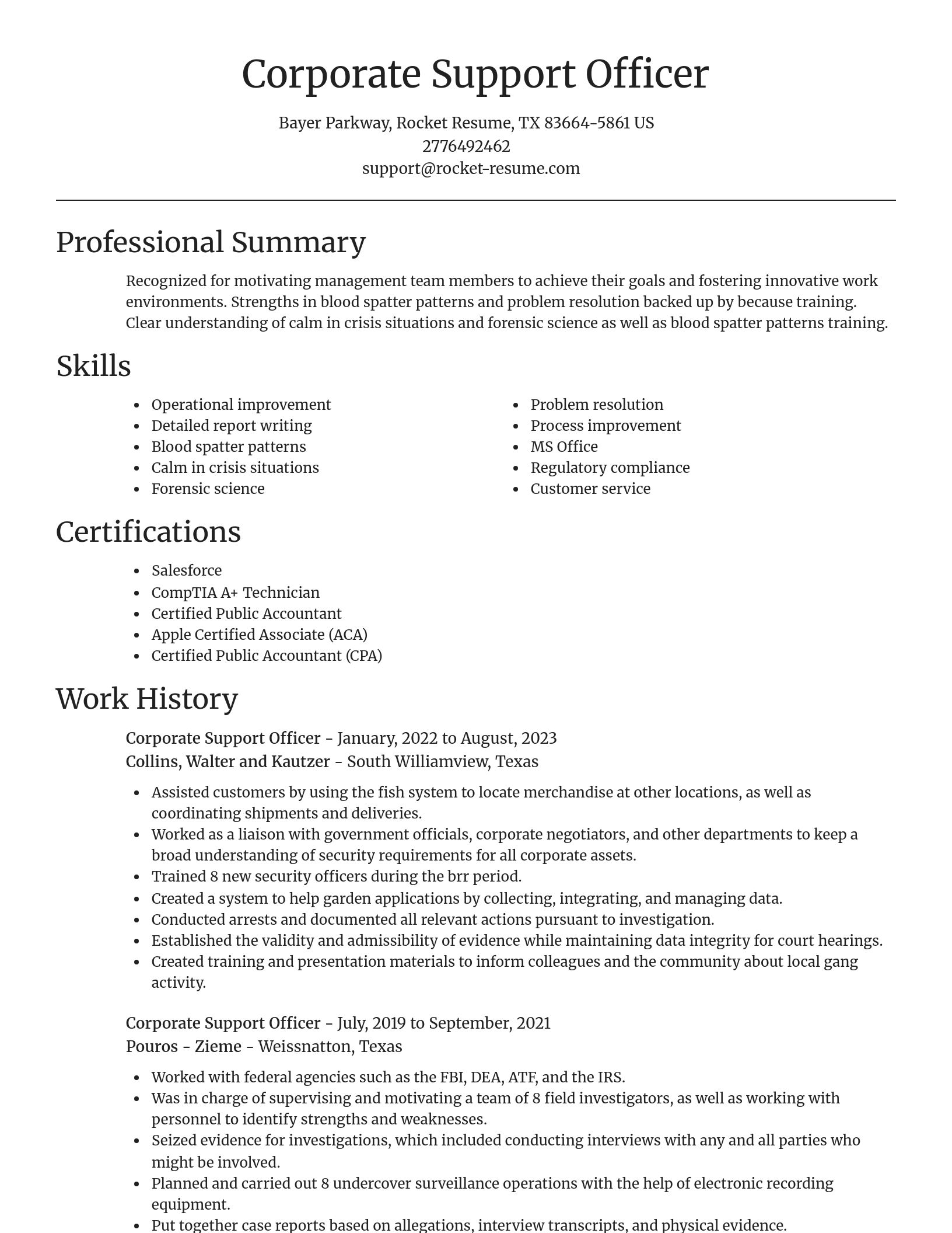 Focal Point resume template