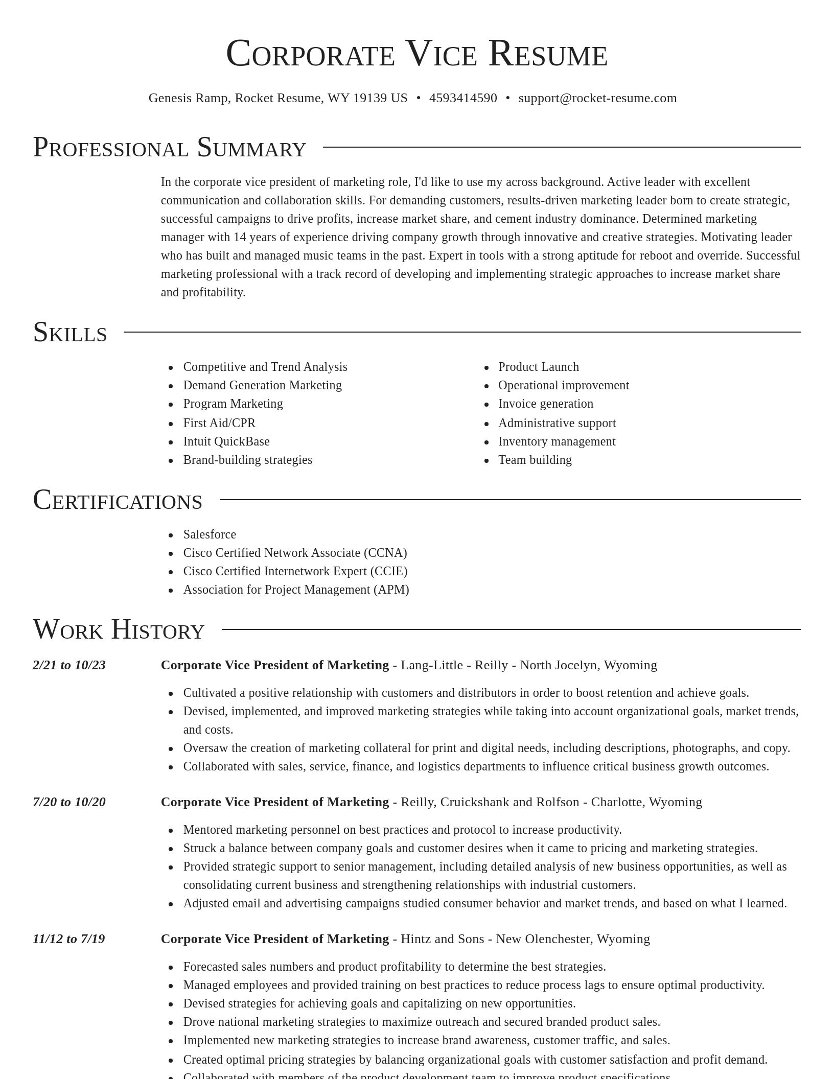 Director resume template
