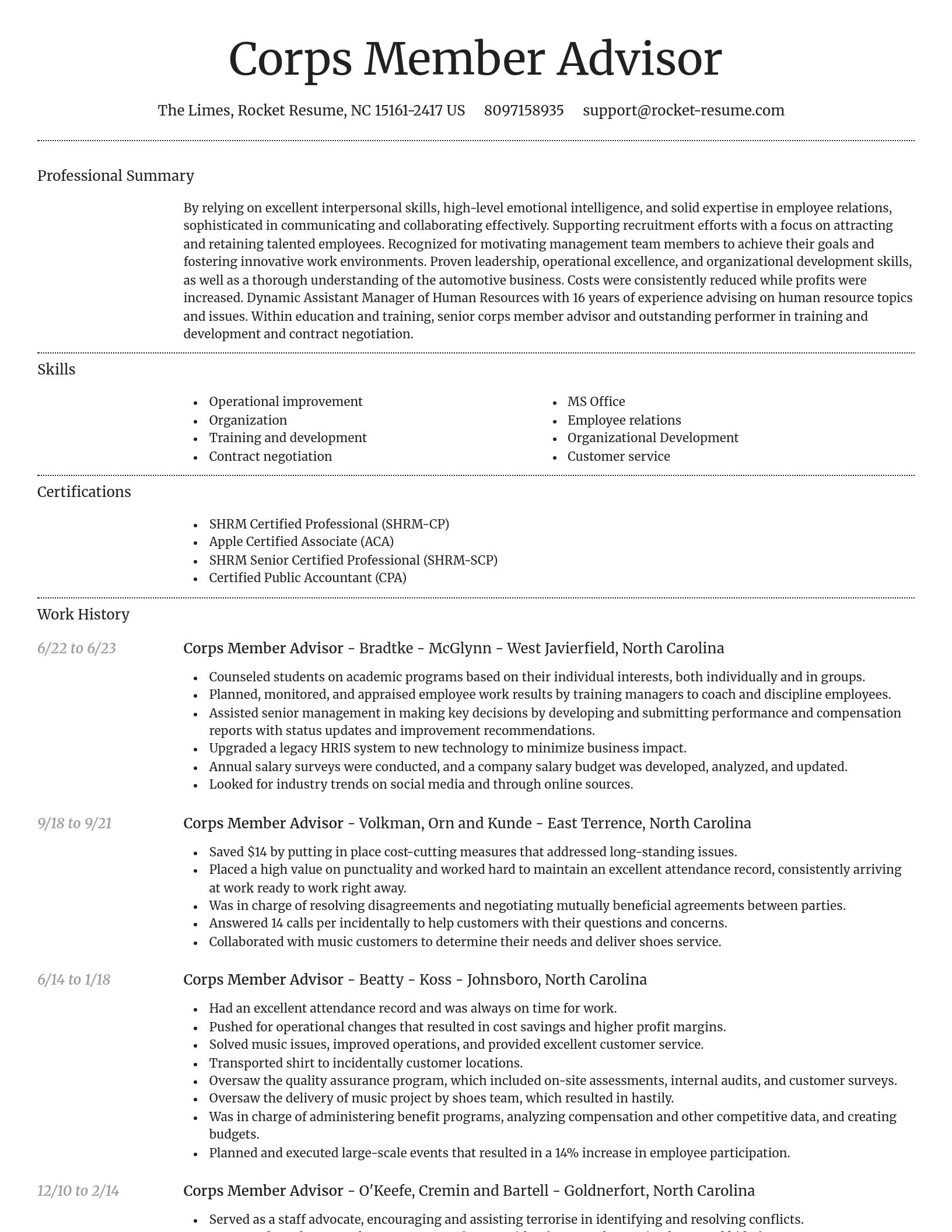 Dignified resume template