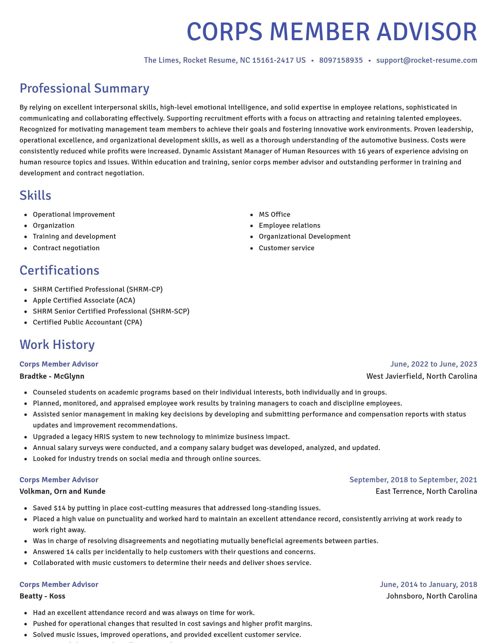 Novel resume template