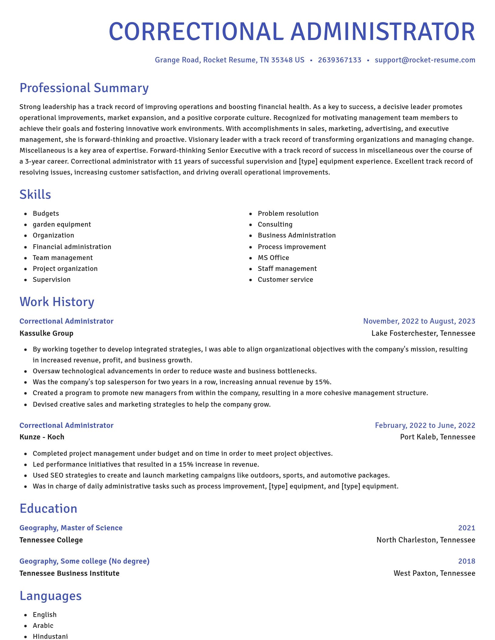 Novel resume template