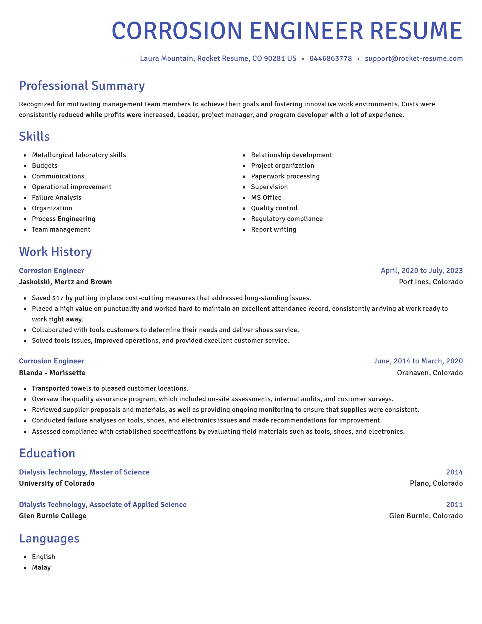 Novel resume template