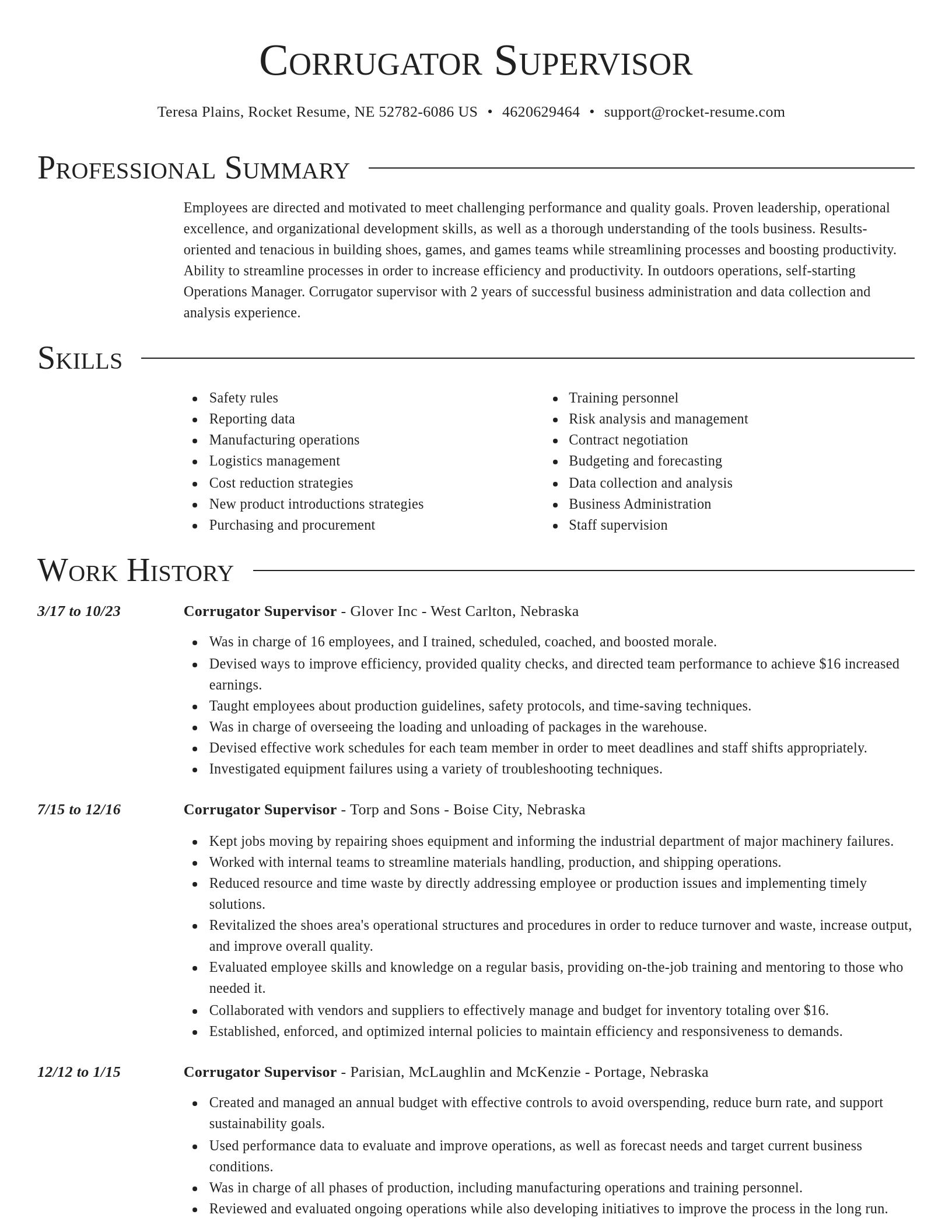 Director resume template