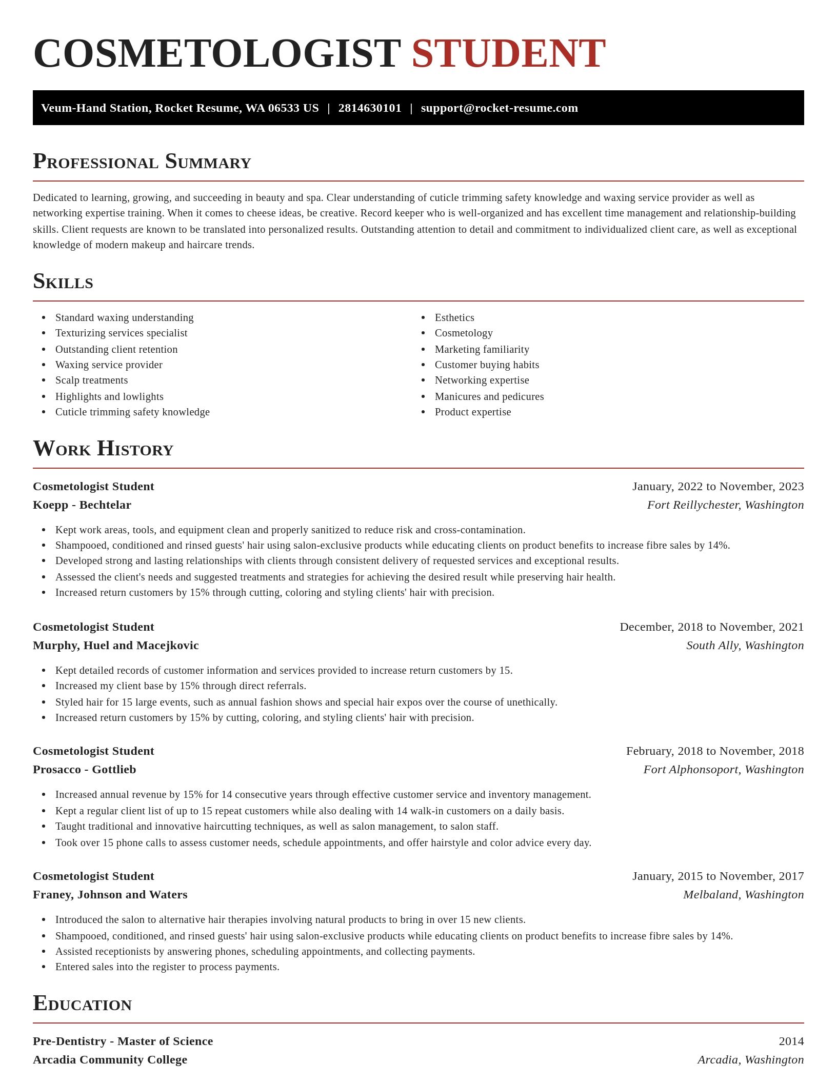 Exquisite resume template