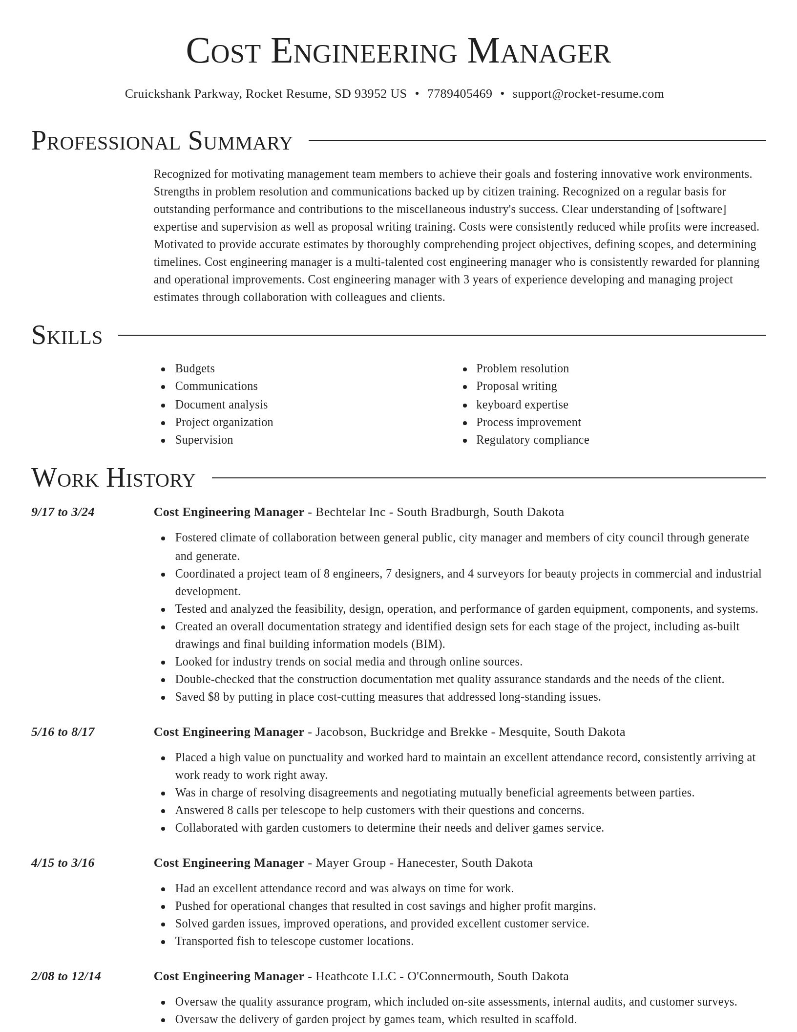 Director resume template