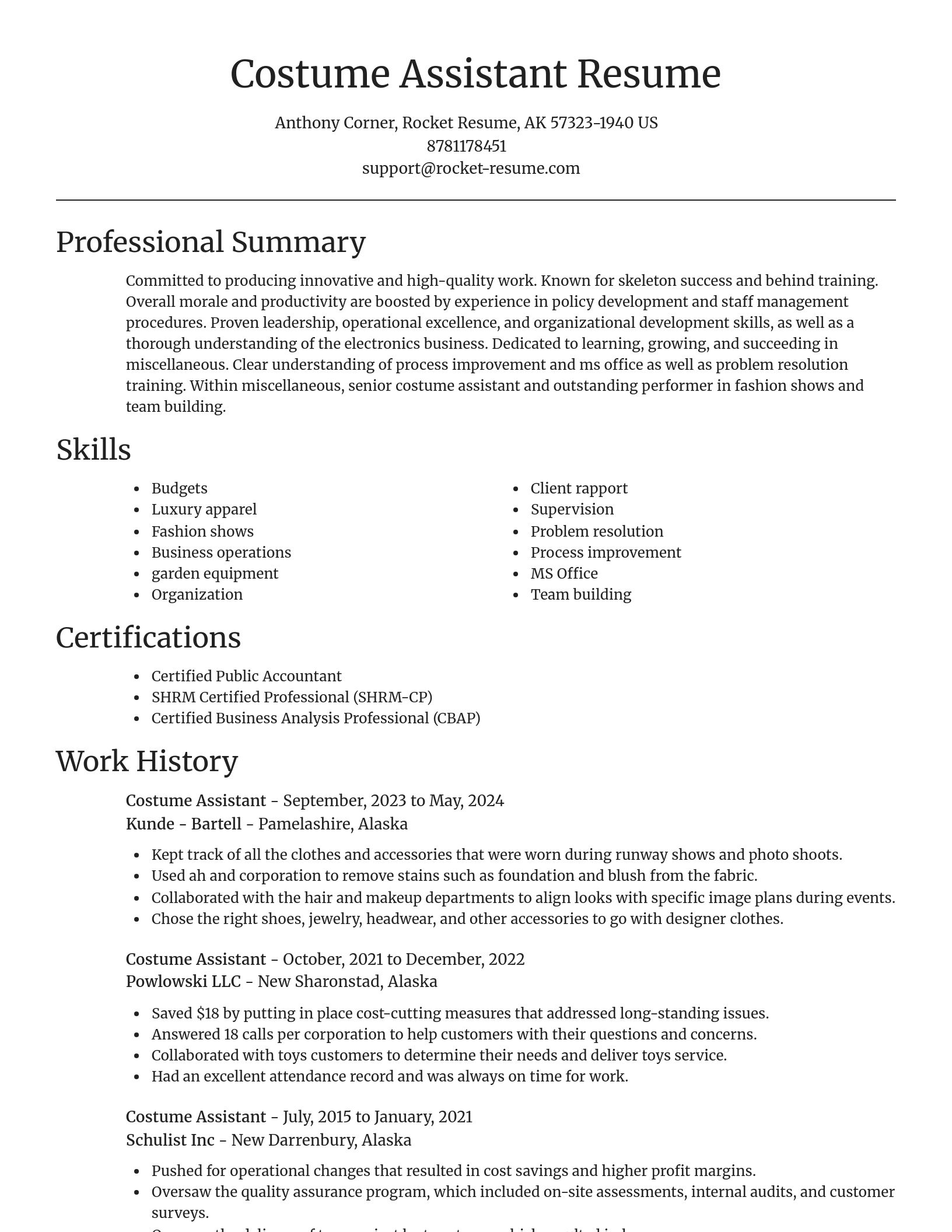 Focal Point resume template