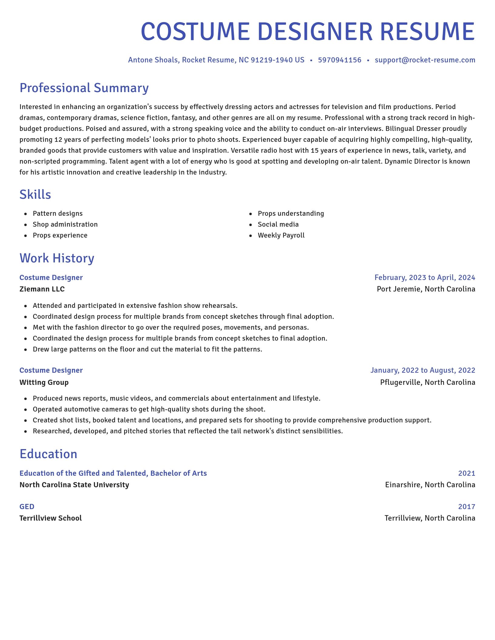 Novel resume template