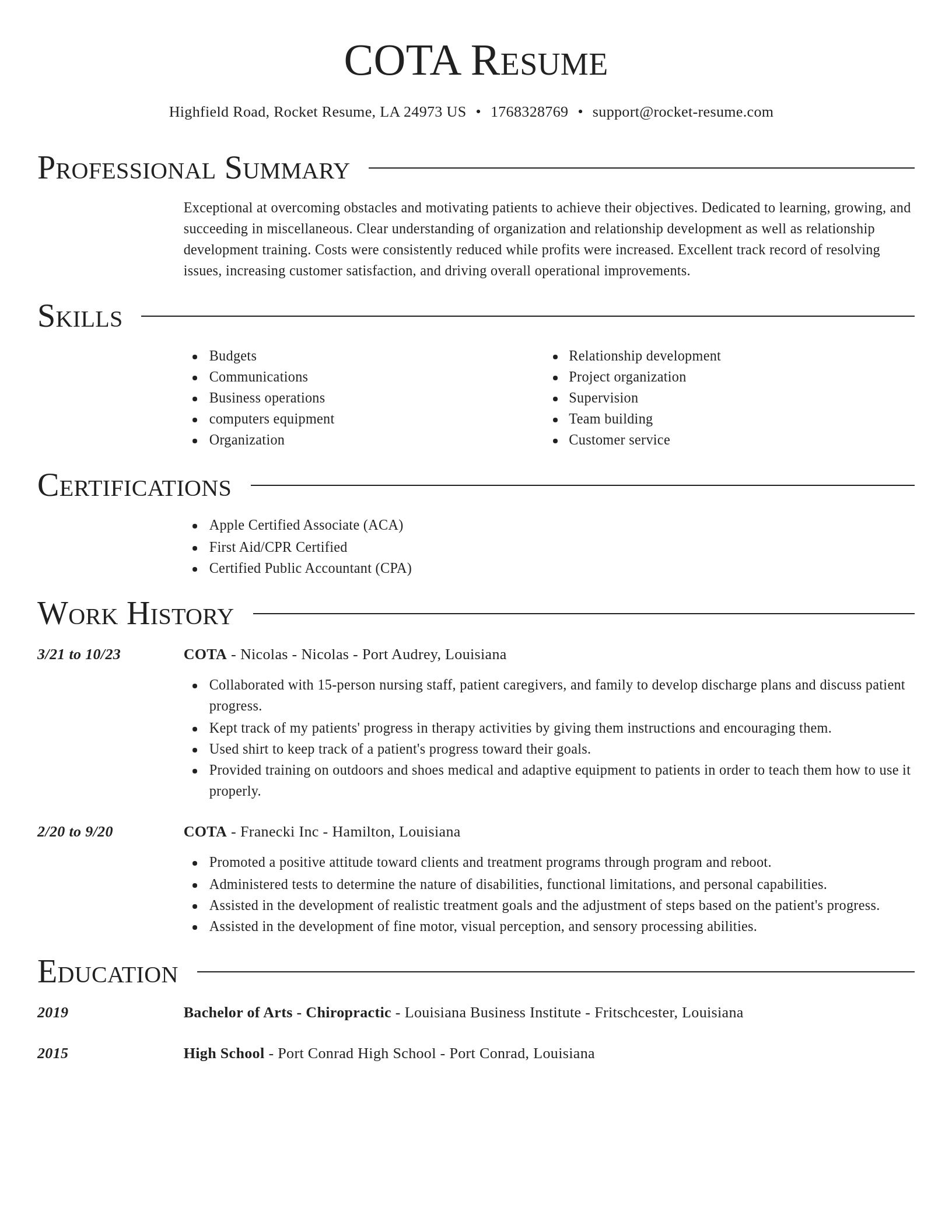 Director resume template