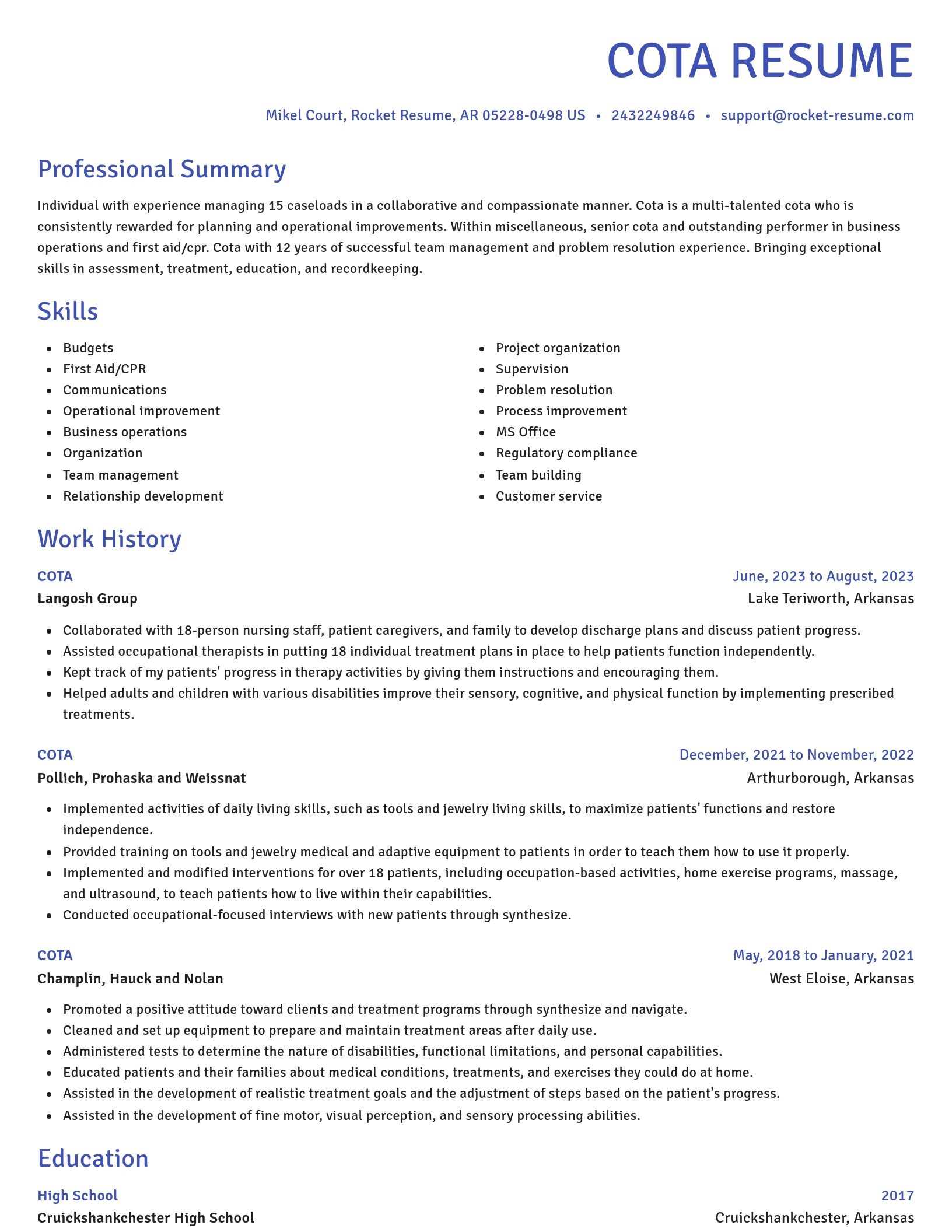 Novel resume template