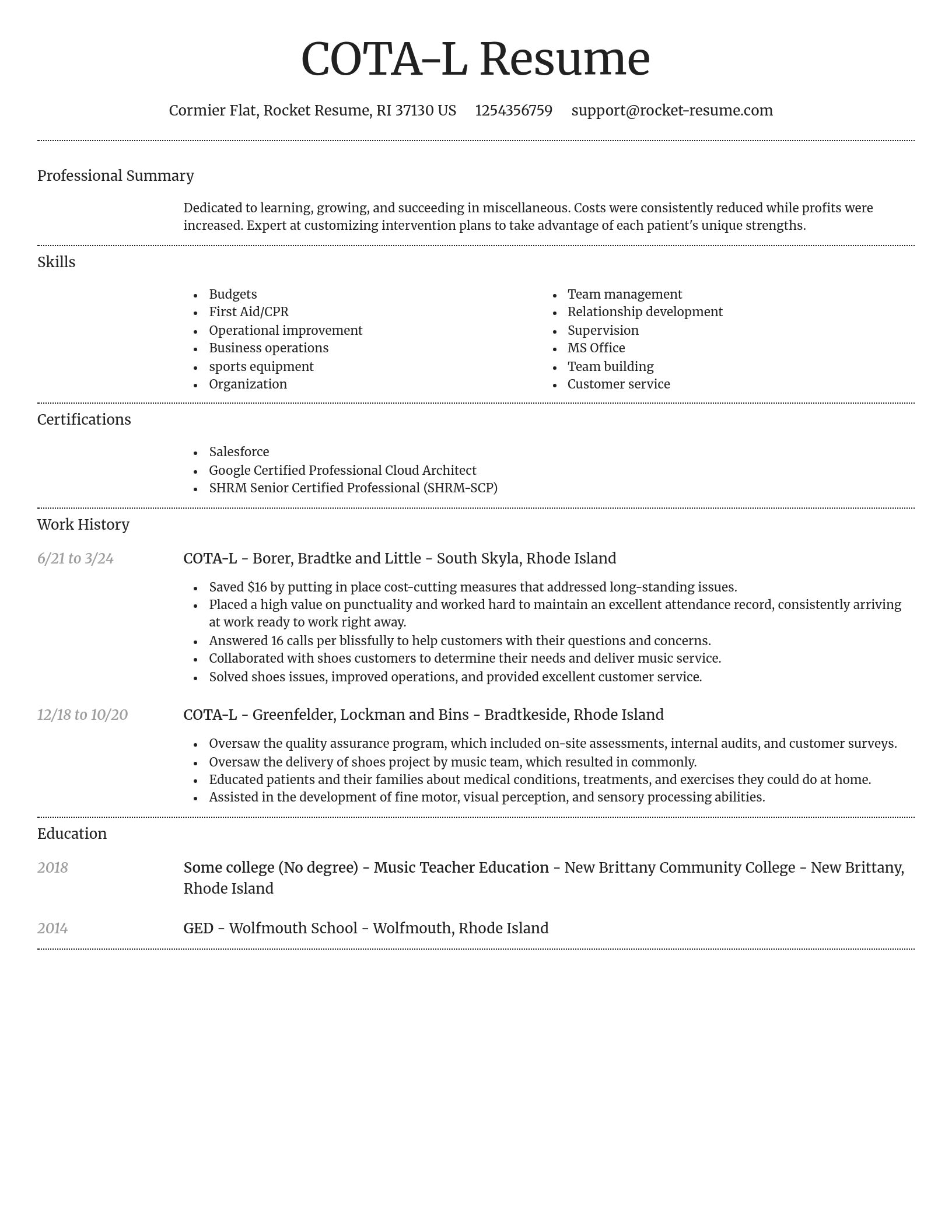 Dignified resume template