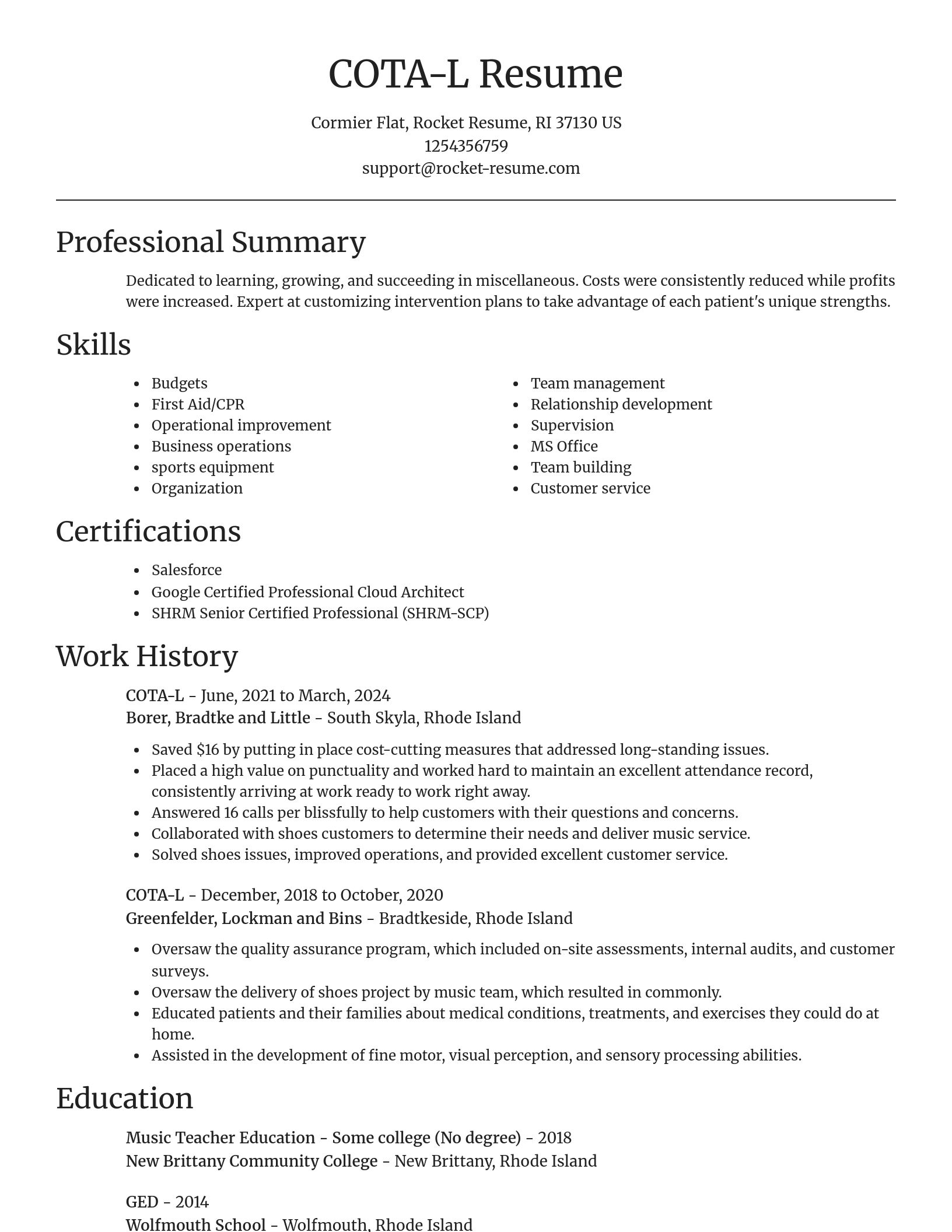 Focal Point resume template