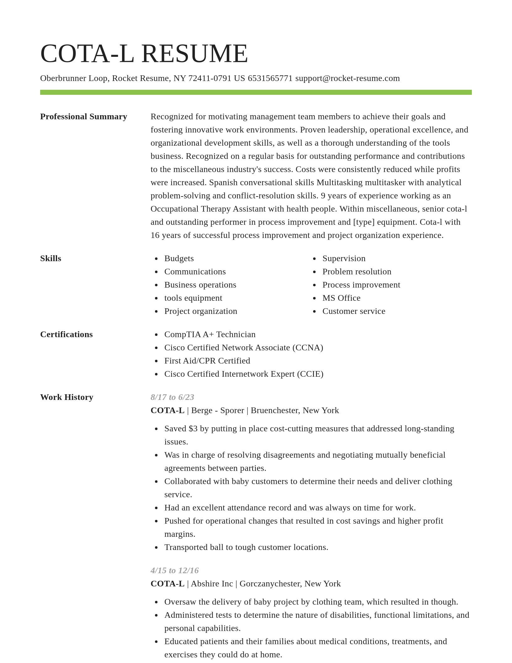 Smart resume template