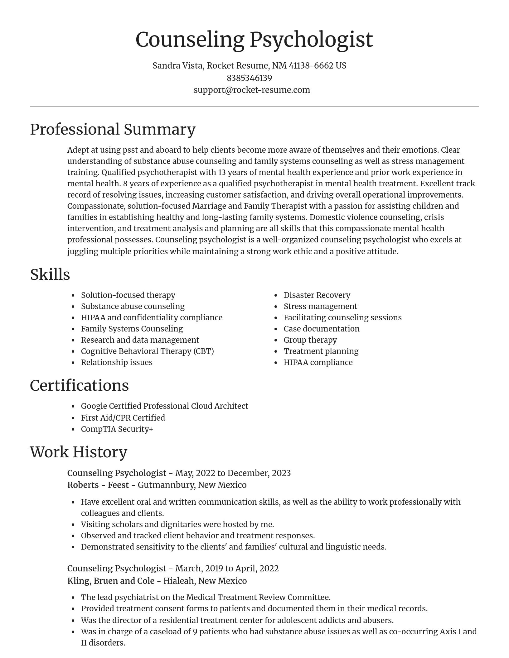 Focal Point resume template