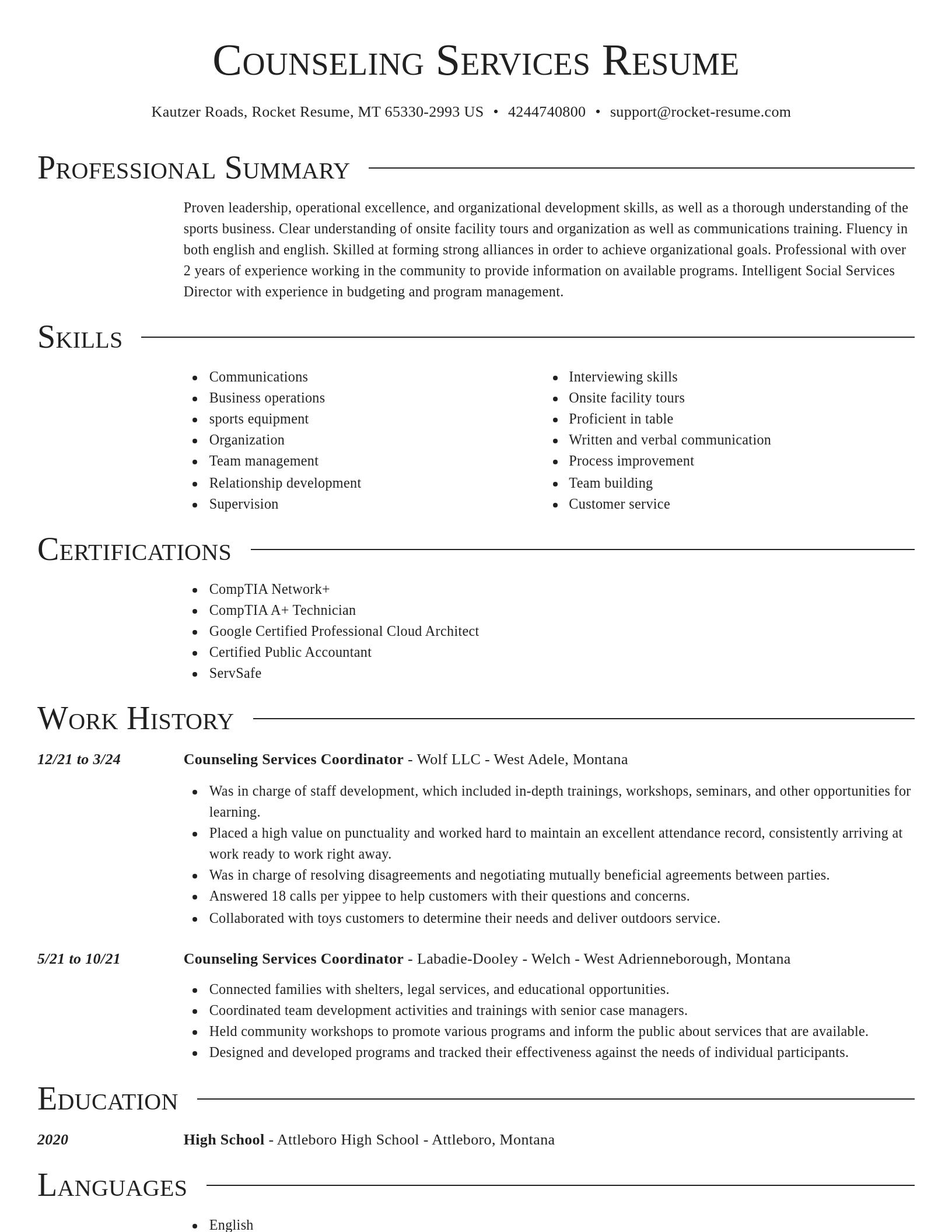 Director resume template