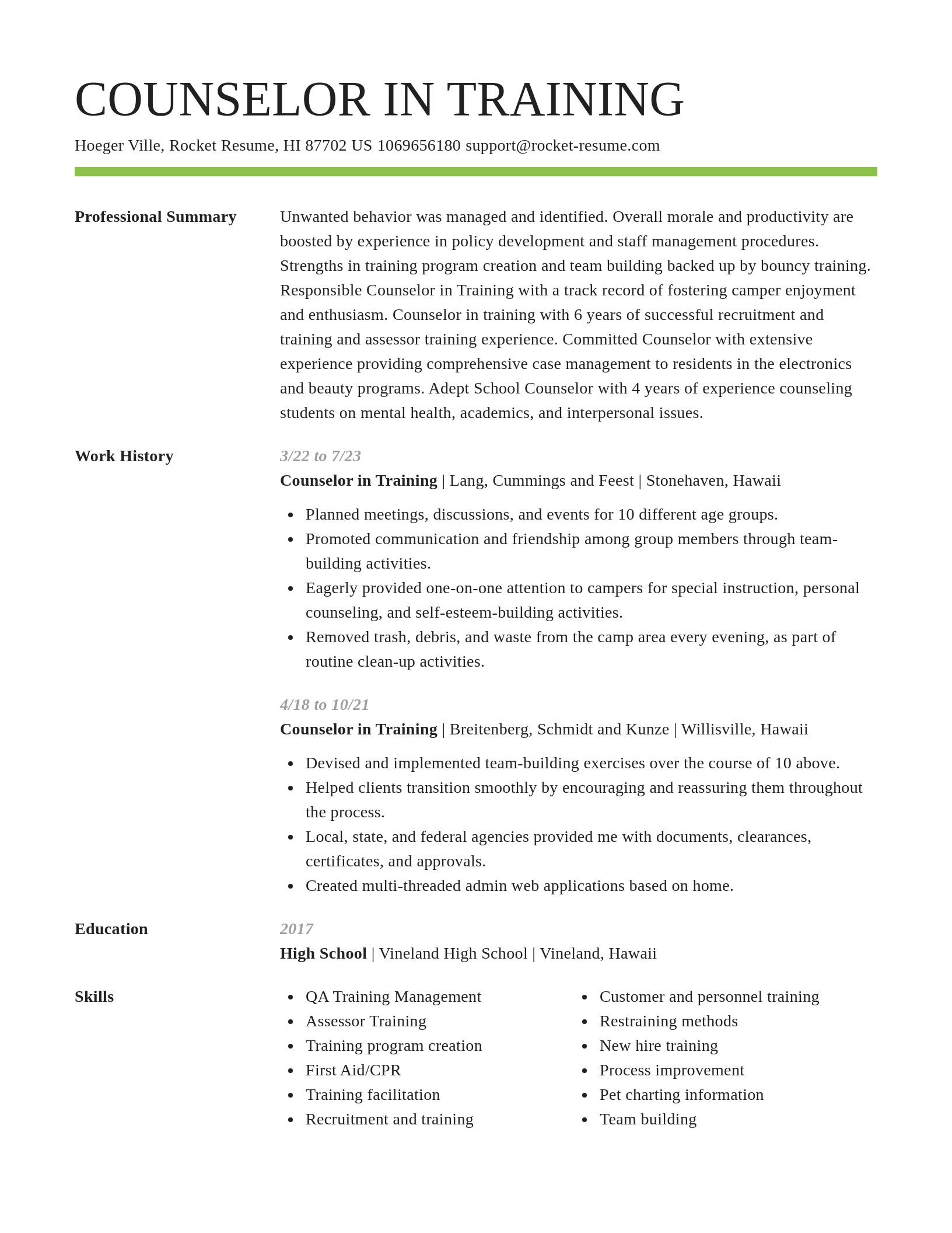 Smart resume template