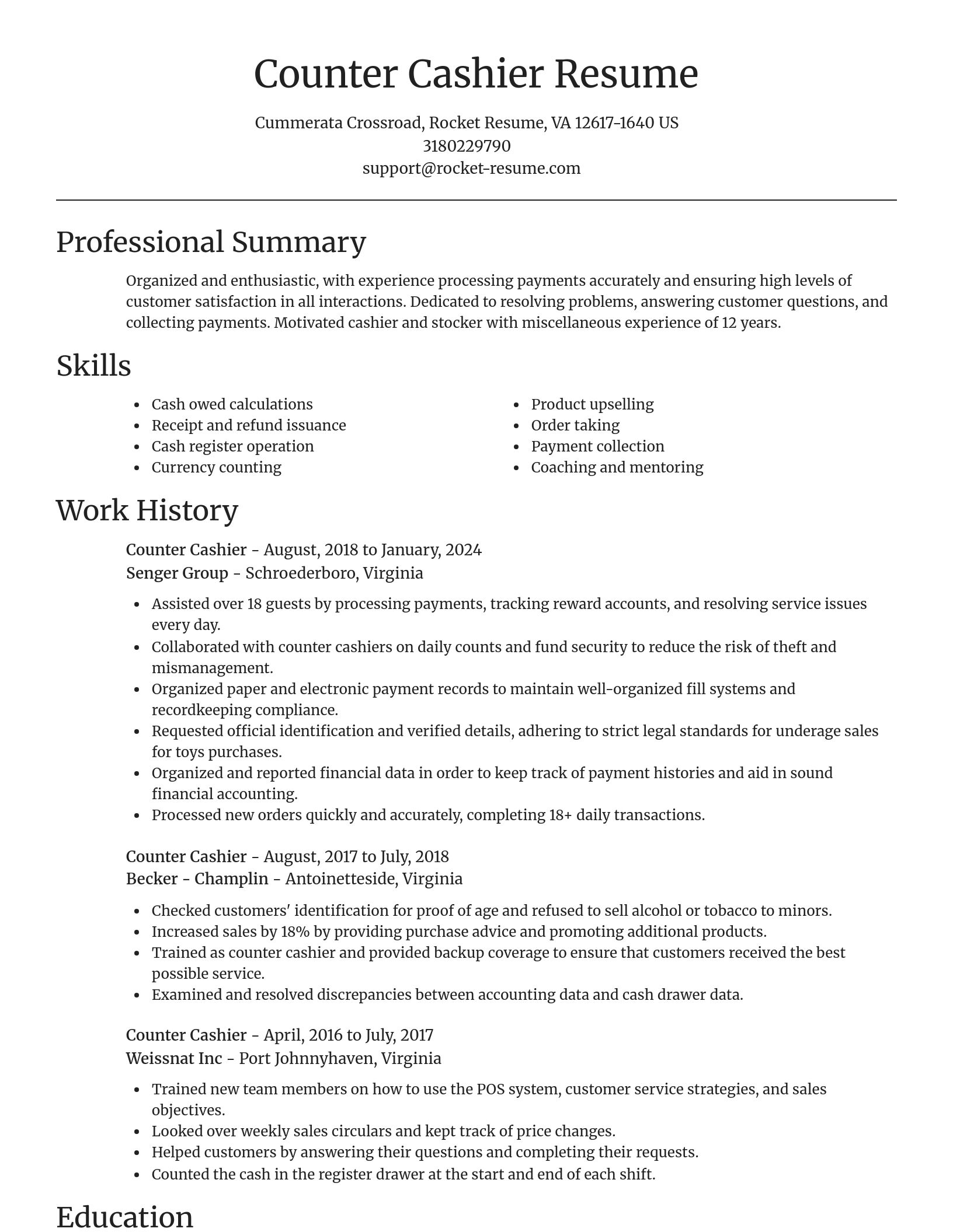 Focal Point resume template