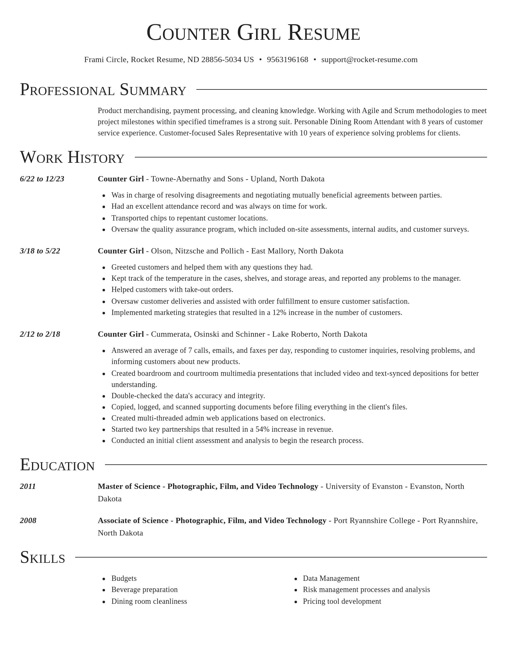 Director resume template