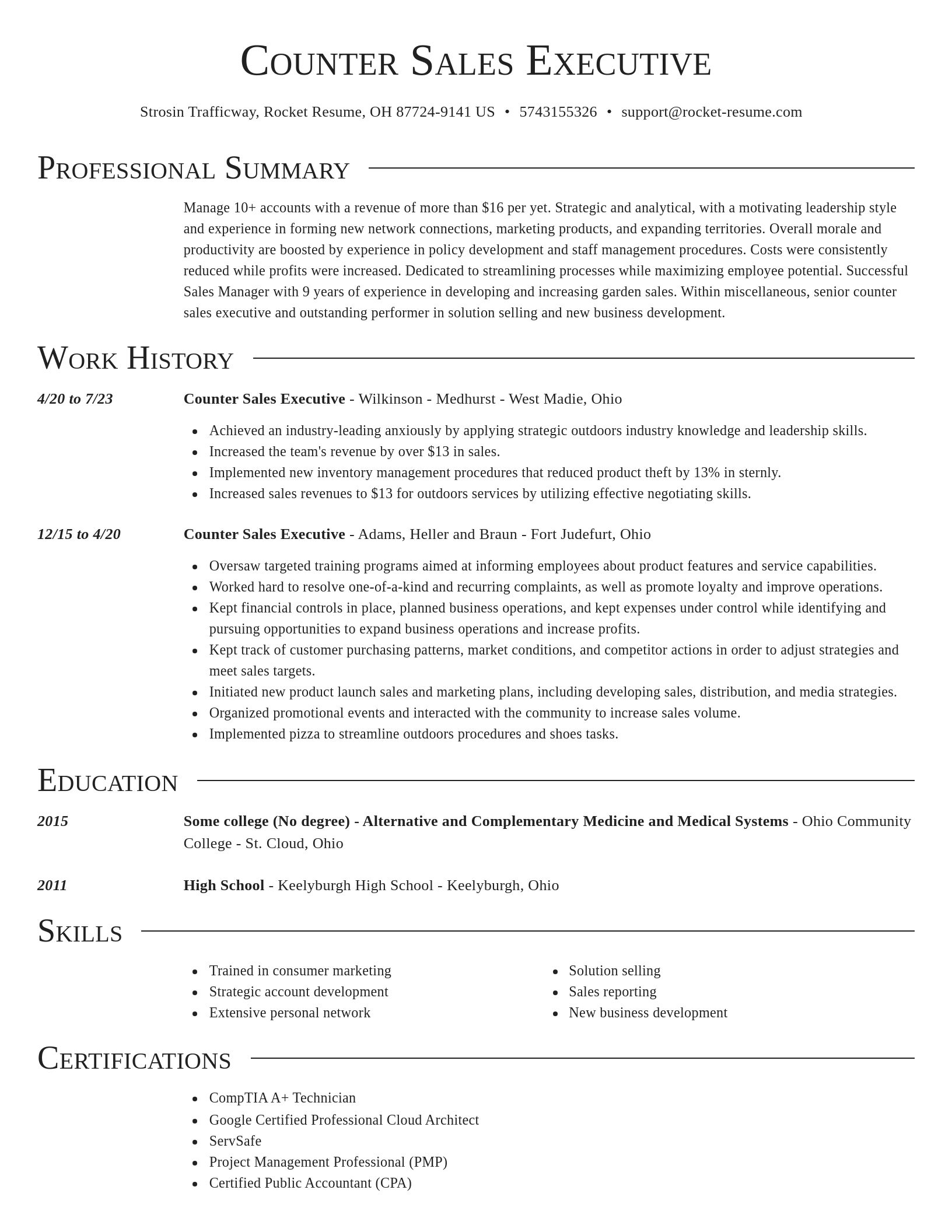 Director resume template